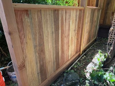 Project in Alamo