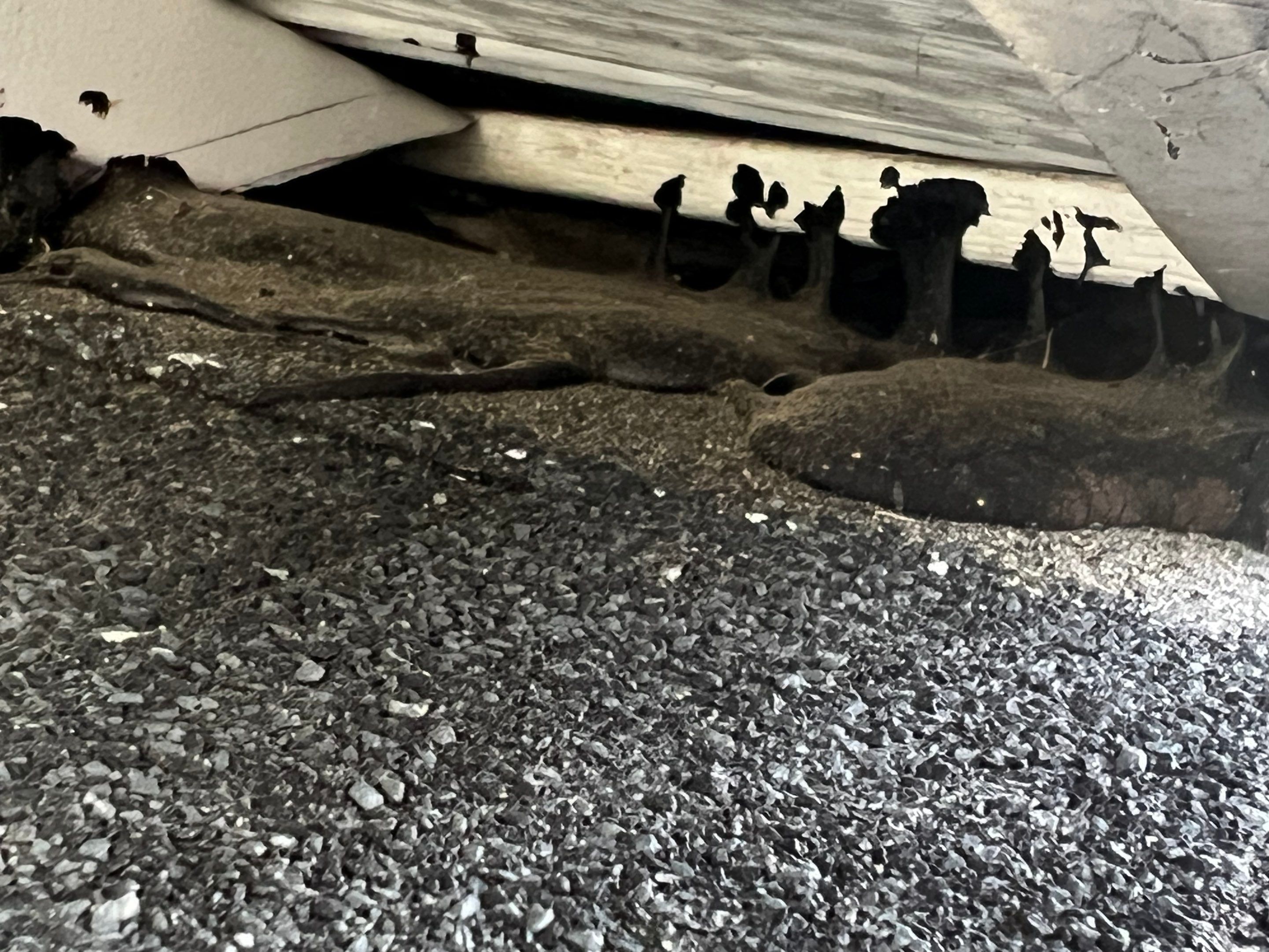 Roofing | Haverhill by Mighty Dog Roofing of Greater Middlesex County