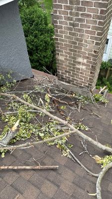 Turtle Shell gutter protection installation in Naperville, IL 60563, photograph 8