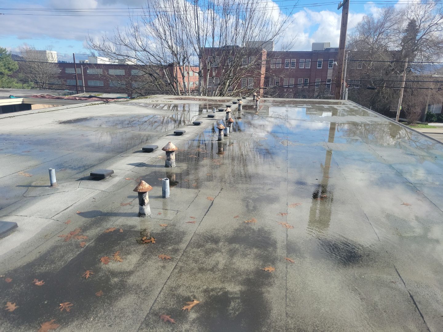 2024 Seattle Multi-Family Overlay by Alternative Roofing Systems Inc. 