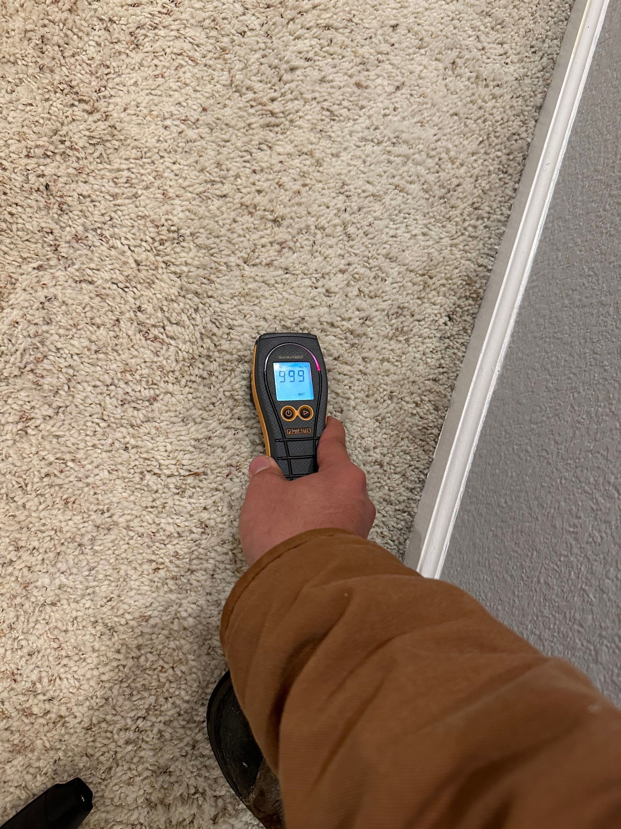 Water Damage in Highlands Ranch by Alpha Restoration 