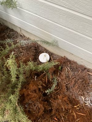 Project in Richmond