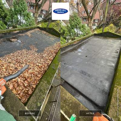 Flat Roof Revival in Forest Hills, Queens