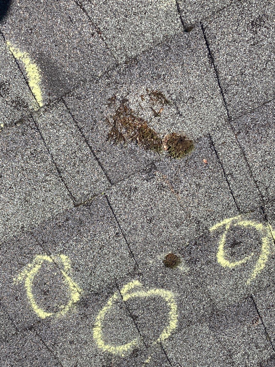 Residential Roofing Installation using Owens Corning Duration, Black Sable by Absolute Roofing and Construction