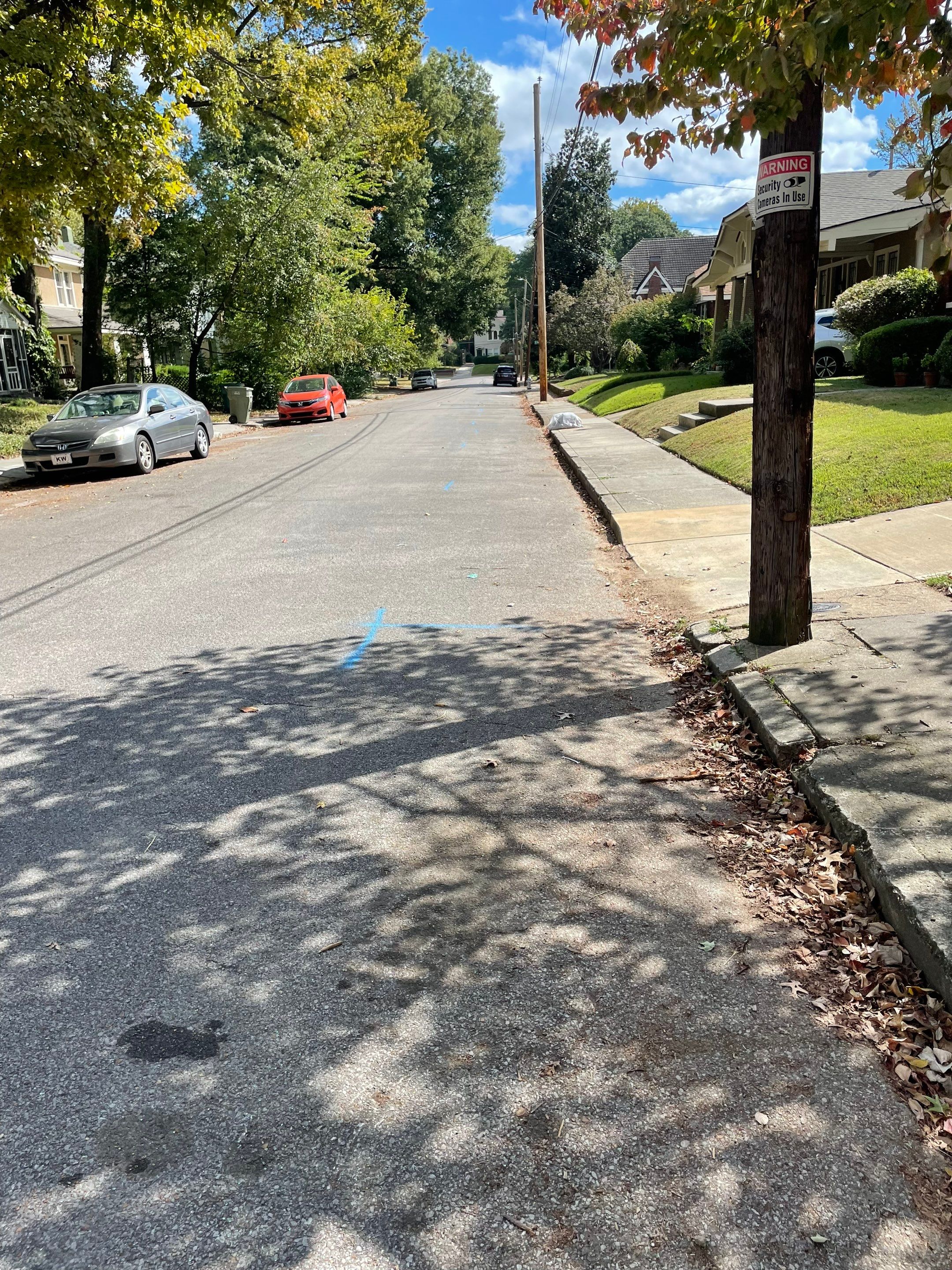 Utility Locate for Survey Purposes by Alsip Locating Service, LLC