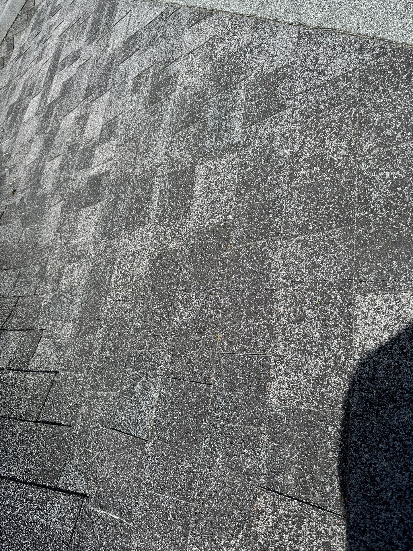 Project in Seattle by Connolly Construction Company