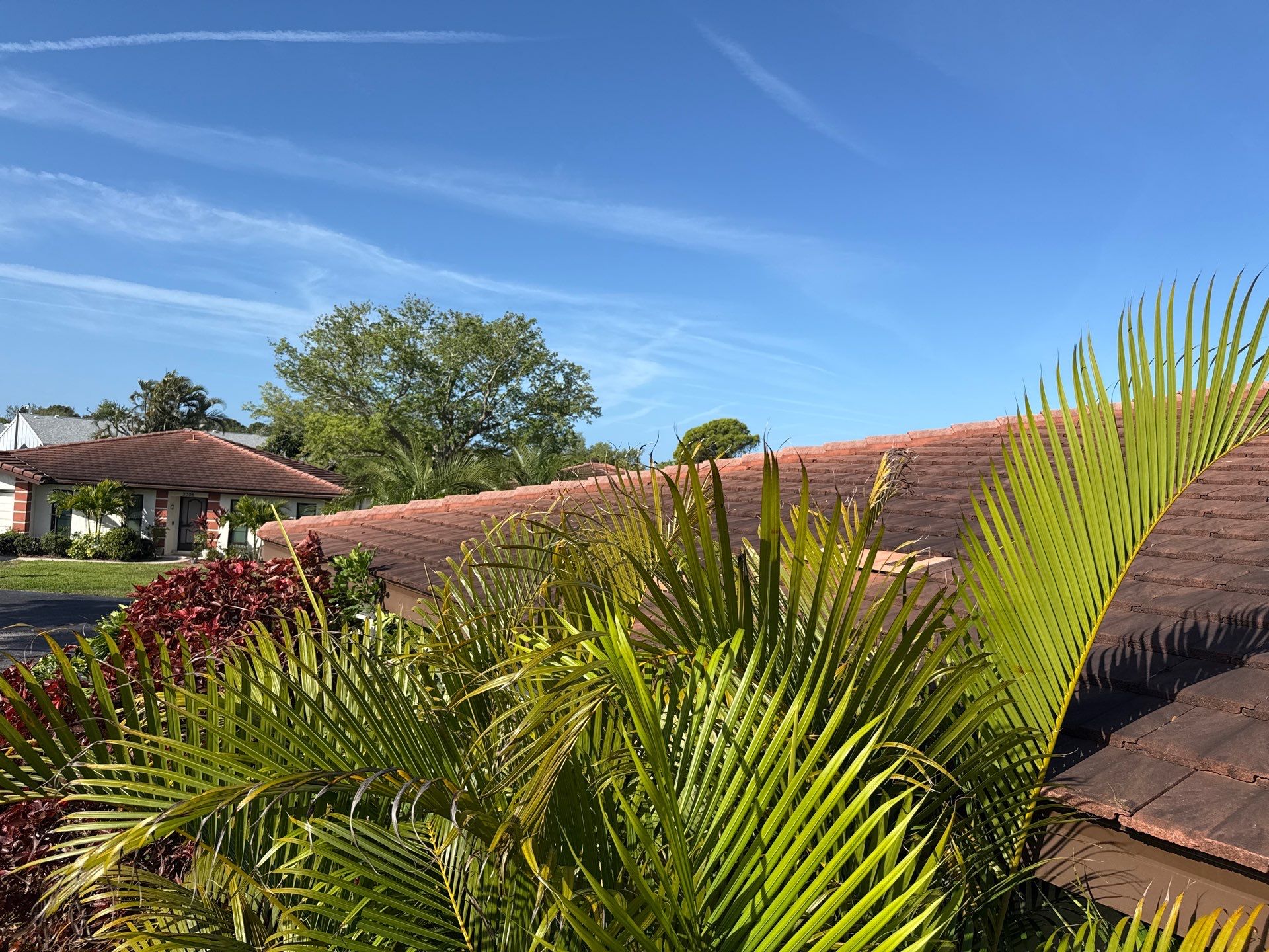 Tile Roof Cleaning in Vivienda at Bradenton, FL | No Roof Walking Method by Sunshine AquaWash