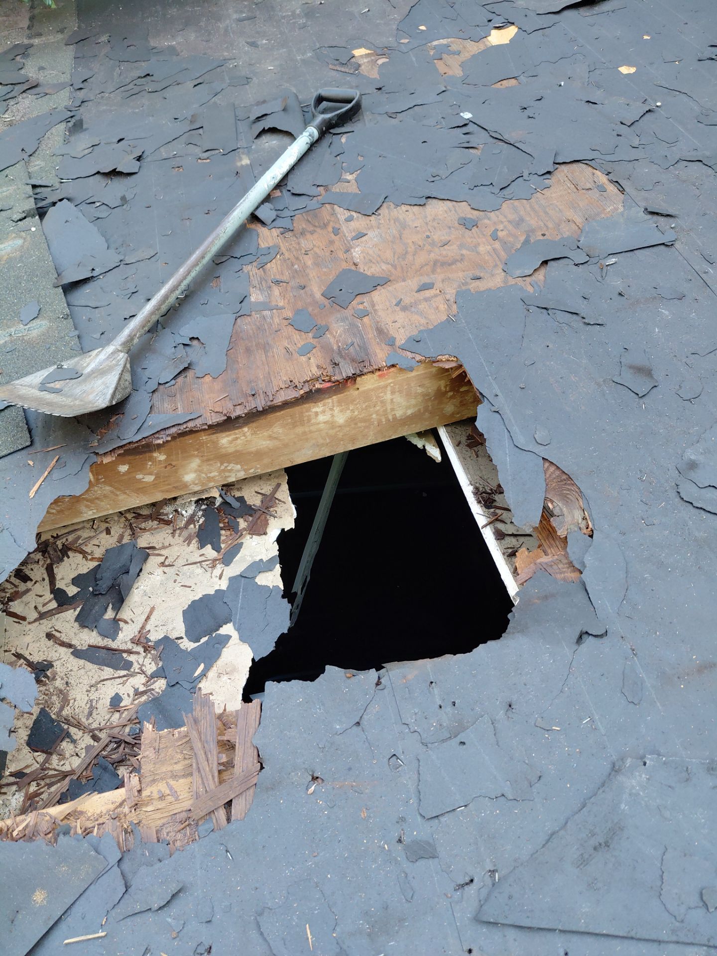 Alexandria: Residential Roof with CertainTeed Landmark Pro in Max Def Burnt Sienna by RM Banning, Inc.