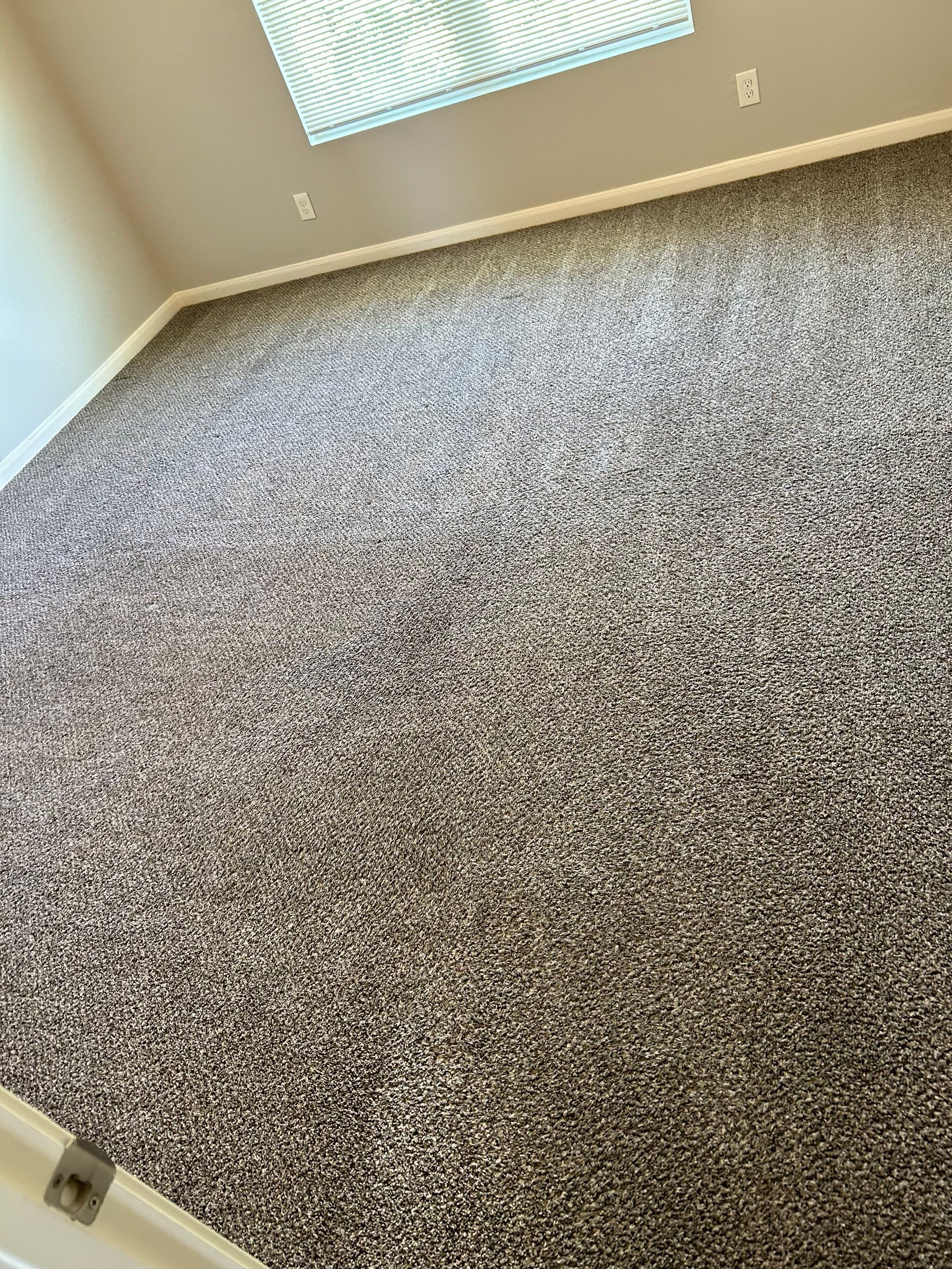 cleaning company is thoroughly cleaning a carpeted room making the carpet look fresh and well-maintained