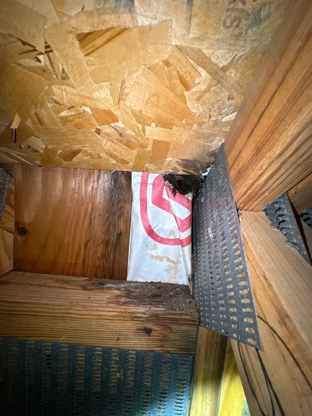 Garage Ceiling Water Damage/Mold Remediation by Chicagoland Water Medics