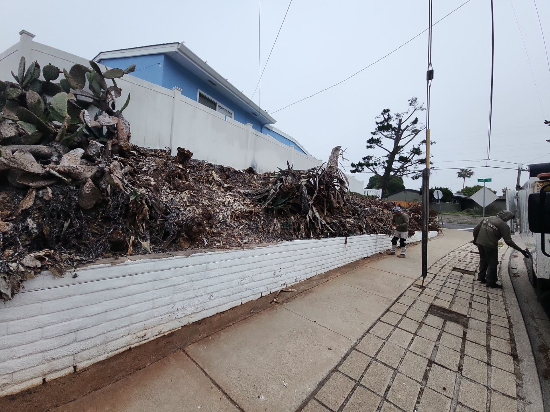 Professional Landscape Clean Up and Debris Removal in San Diego by Yard Techs