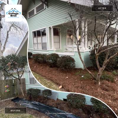 Landscaping  using Pine Straw