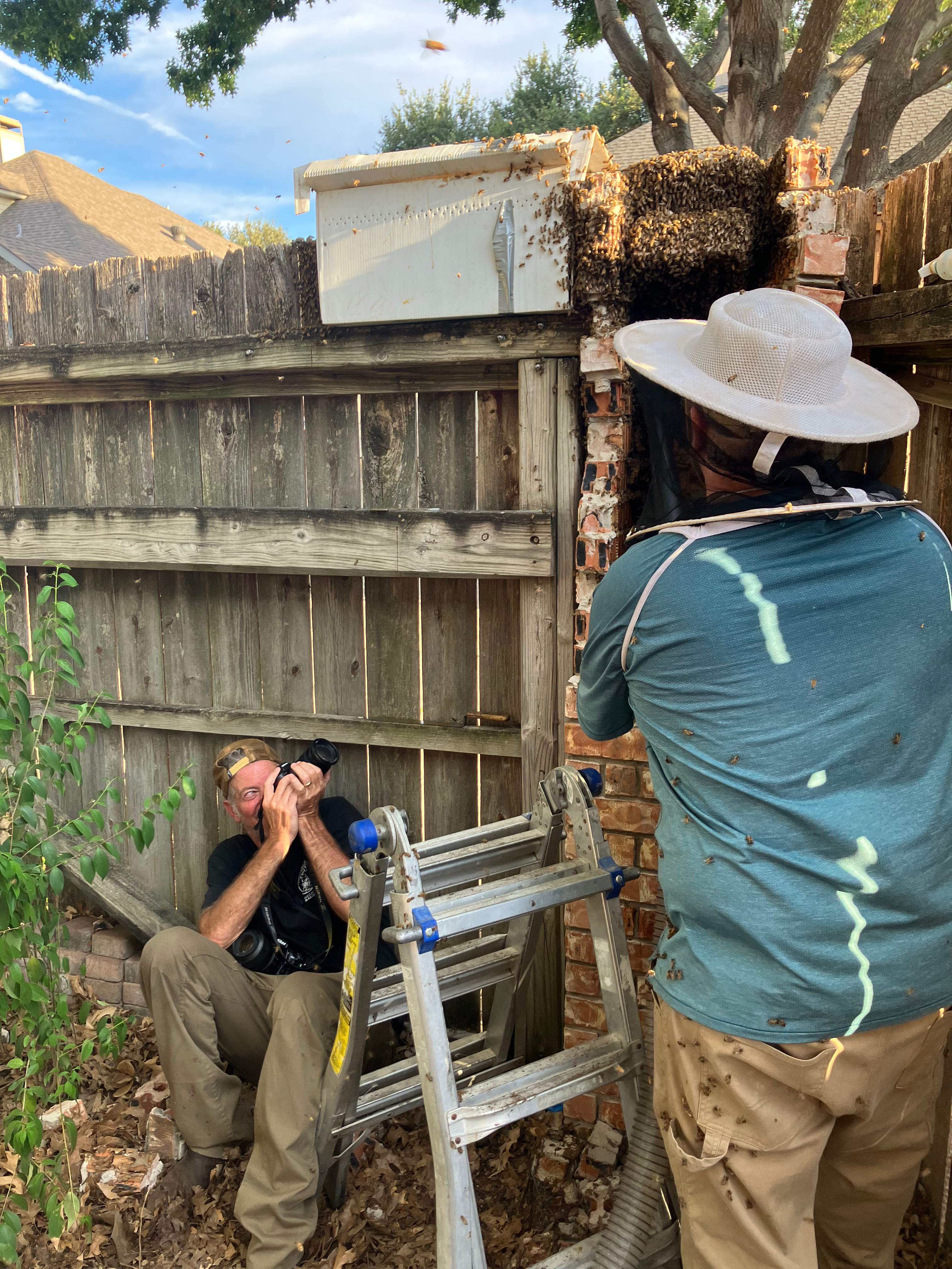 Brick Column by Rockwall Honey Bee Company