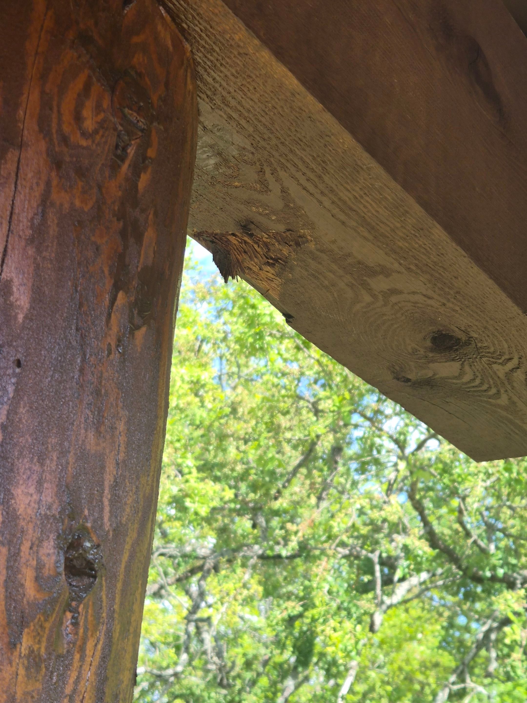 A Complete Exterior Refresh for a Custom Log Home & Property in Alba, Texas by Quality Coats Painting