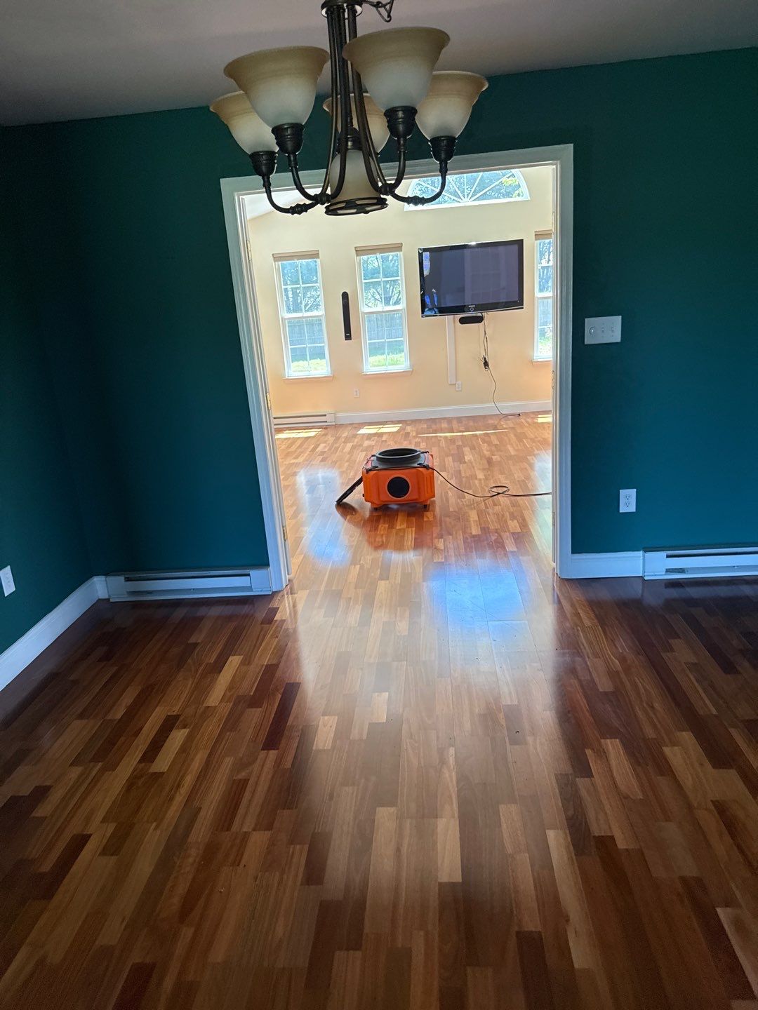 Real Estate Mold Remediation by Healthy Home Solutions