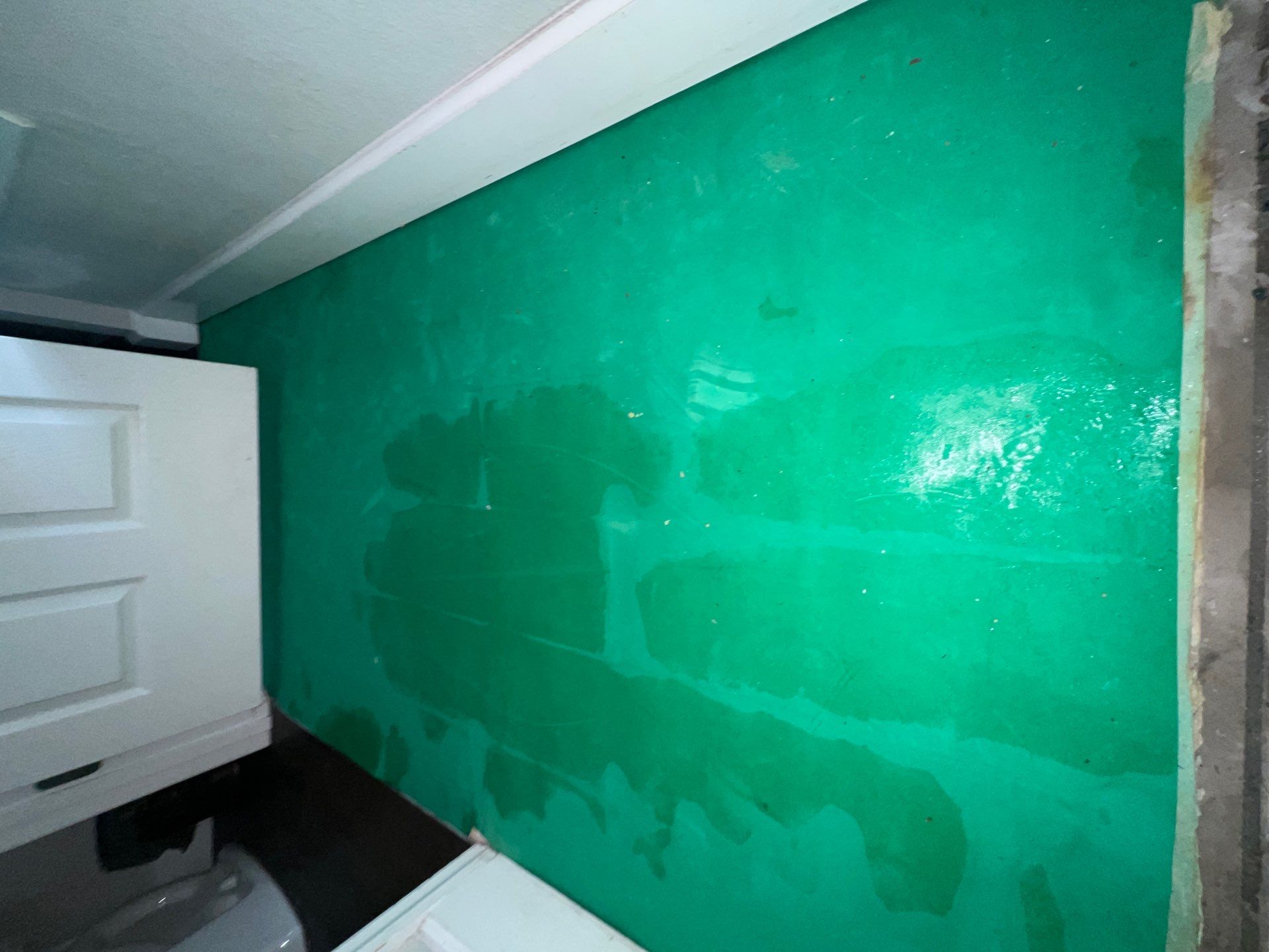 Stansell - water and mold photos  by THE RAPID TEAM