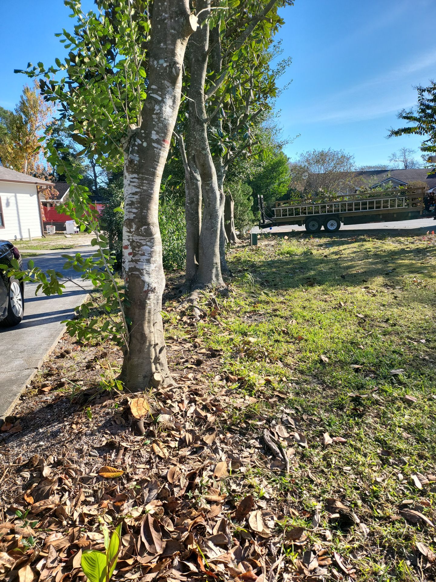 8' PRIVACY WOOD WITH 2 3/8 POUNDED POST  by Hip Square Fence Inc.