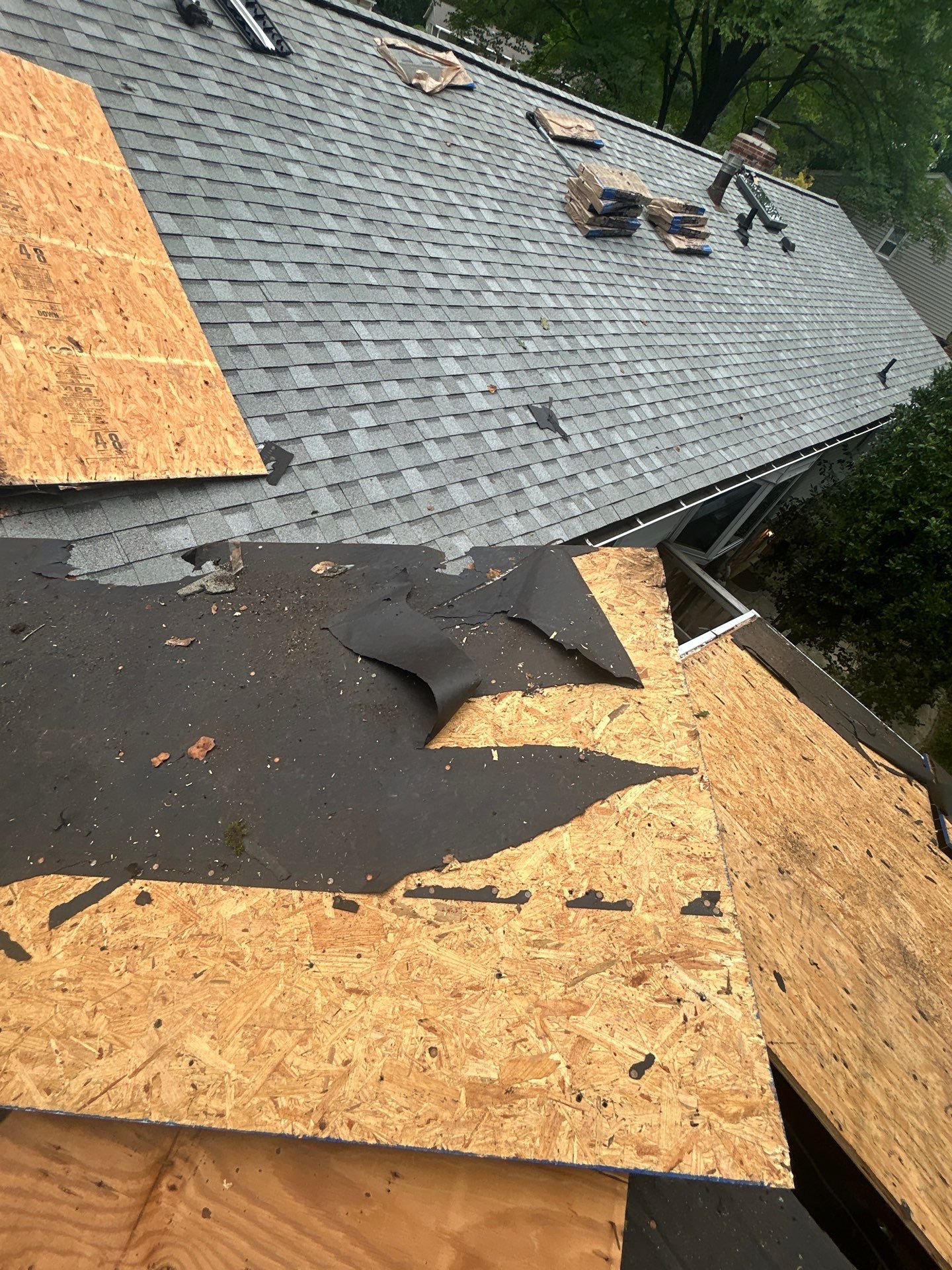 Springfield : with CertainTeed Landmark Pro in Max Def Cobblestone Gray  by RM Banning, Inc.