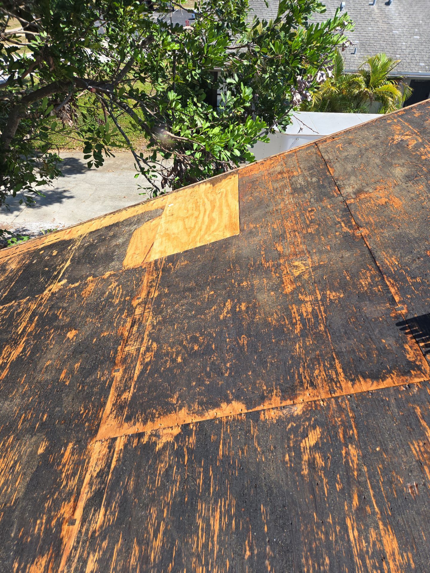 Project in Seminole 33777 by Mitchell Roofing Company LLC 