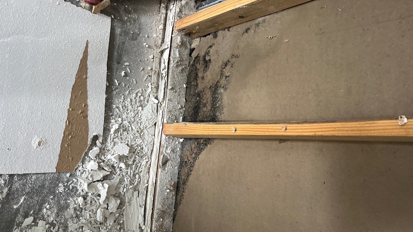 OH No, OYO! by Bayfront Roofing and Construction