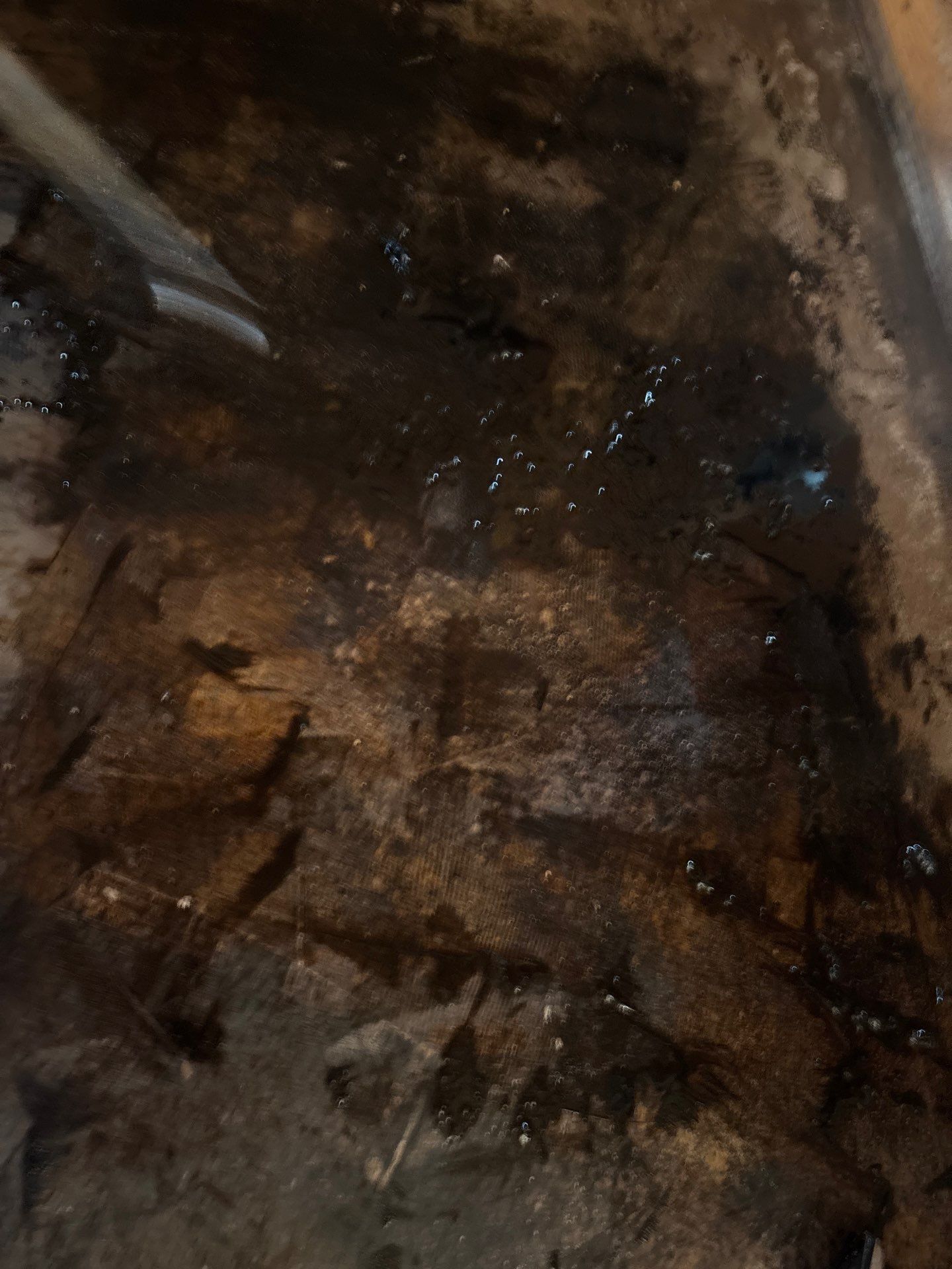 Project in Chandler, AZ by Desert Valley Abatement, LLC