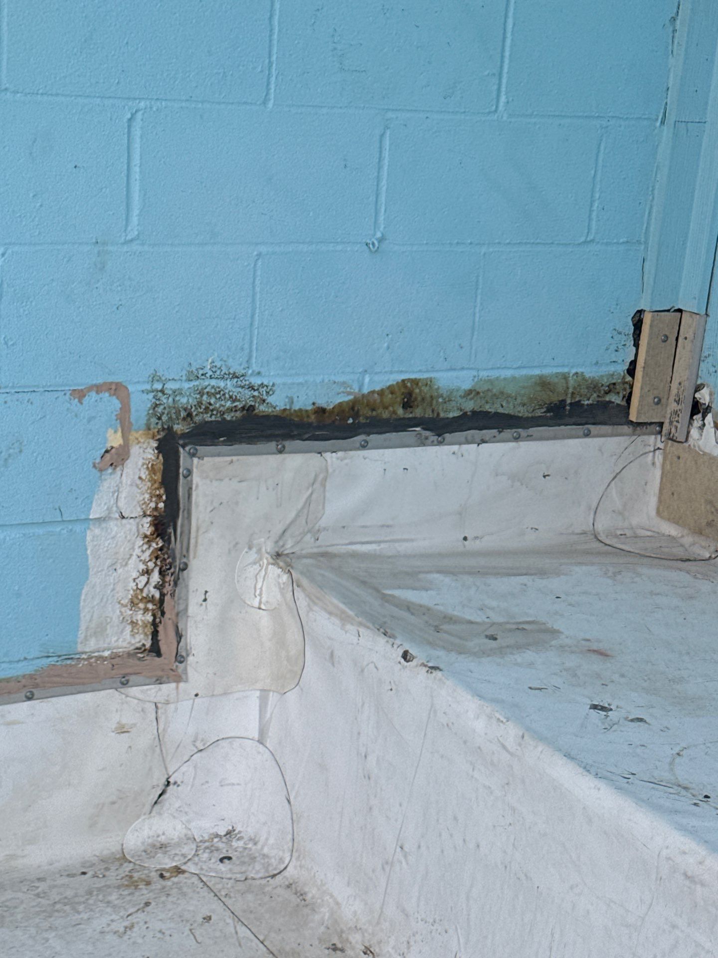 Persistent Leaks  by Bayfront Roofing and Construction