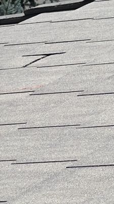 Project in Littleton