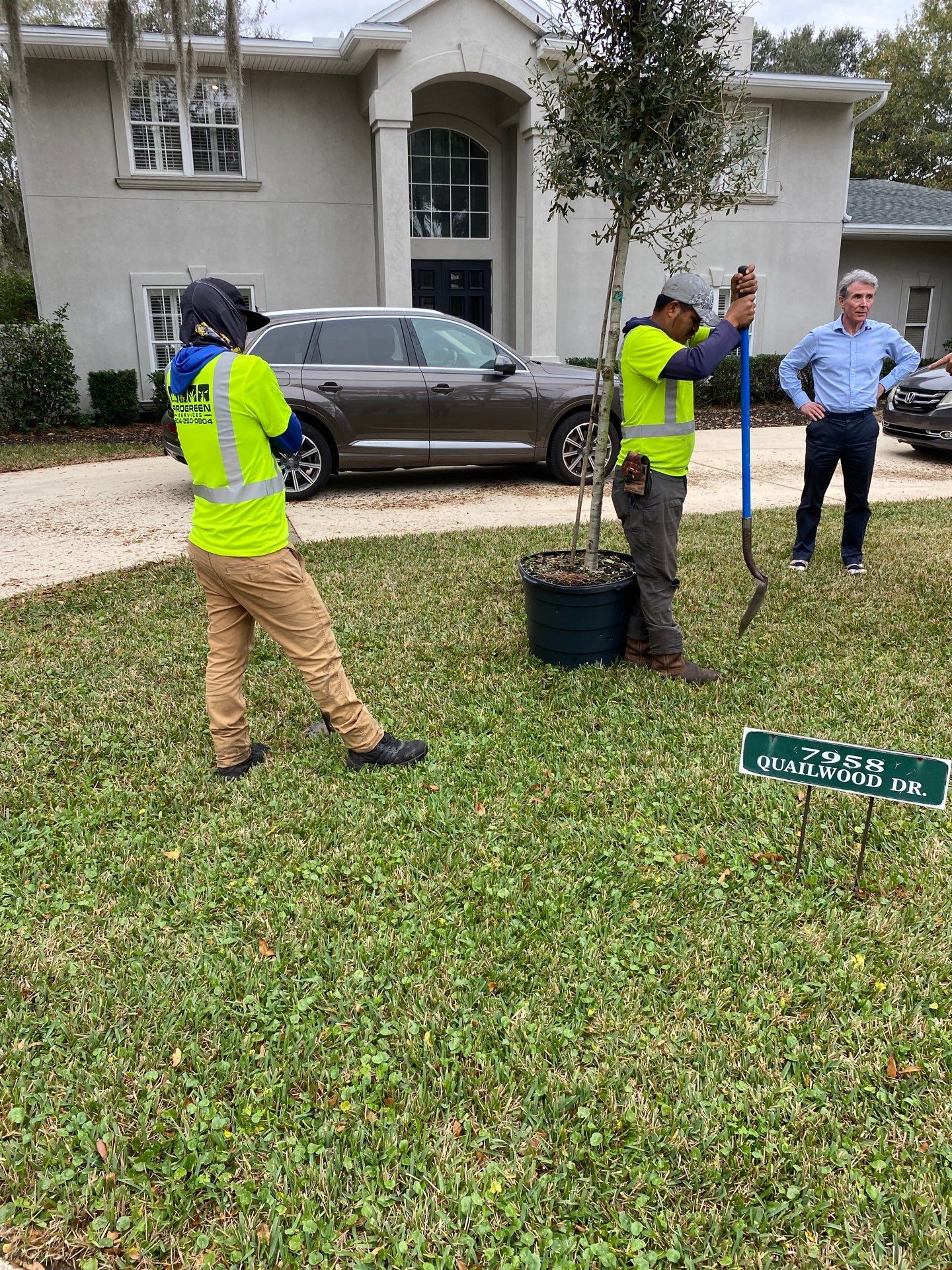 Deerwood | Live Oak Planting Project  by ProGreen Services