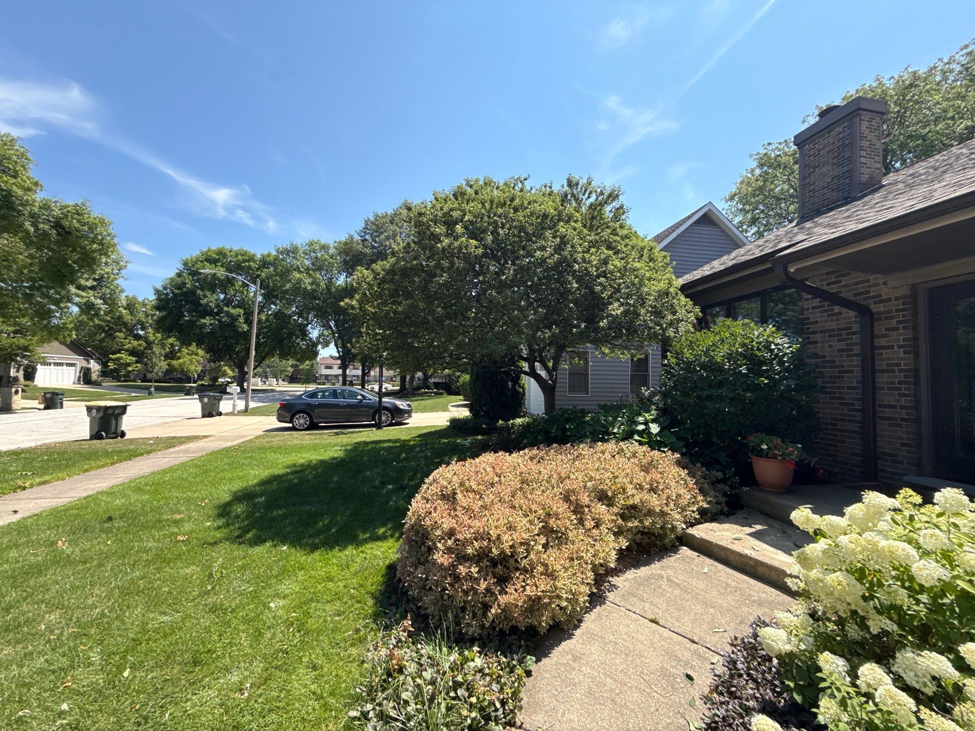 John K. - Arlington Heights, IL by A&N 