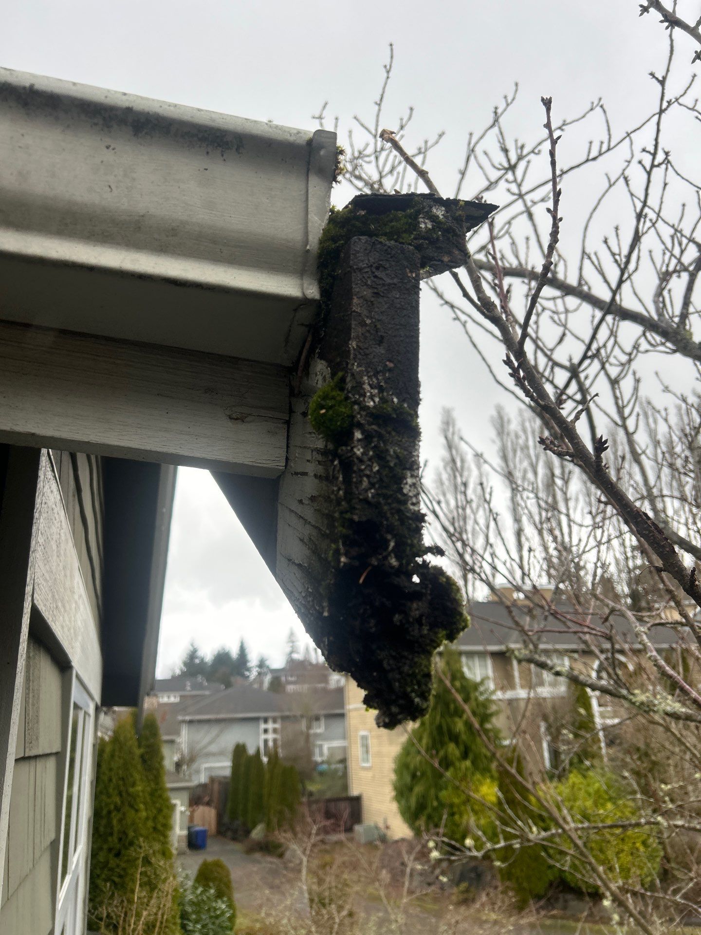 Project in Bellevue by Peaks and Valleys Construction