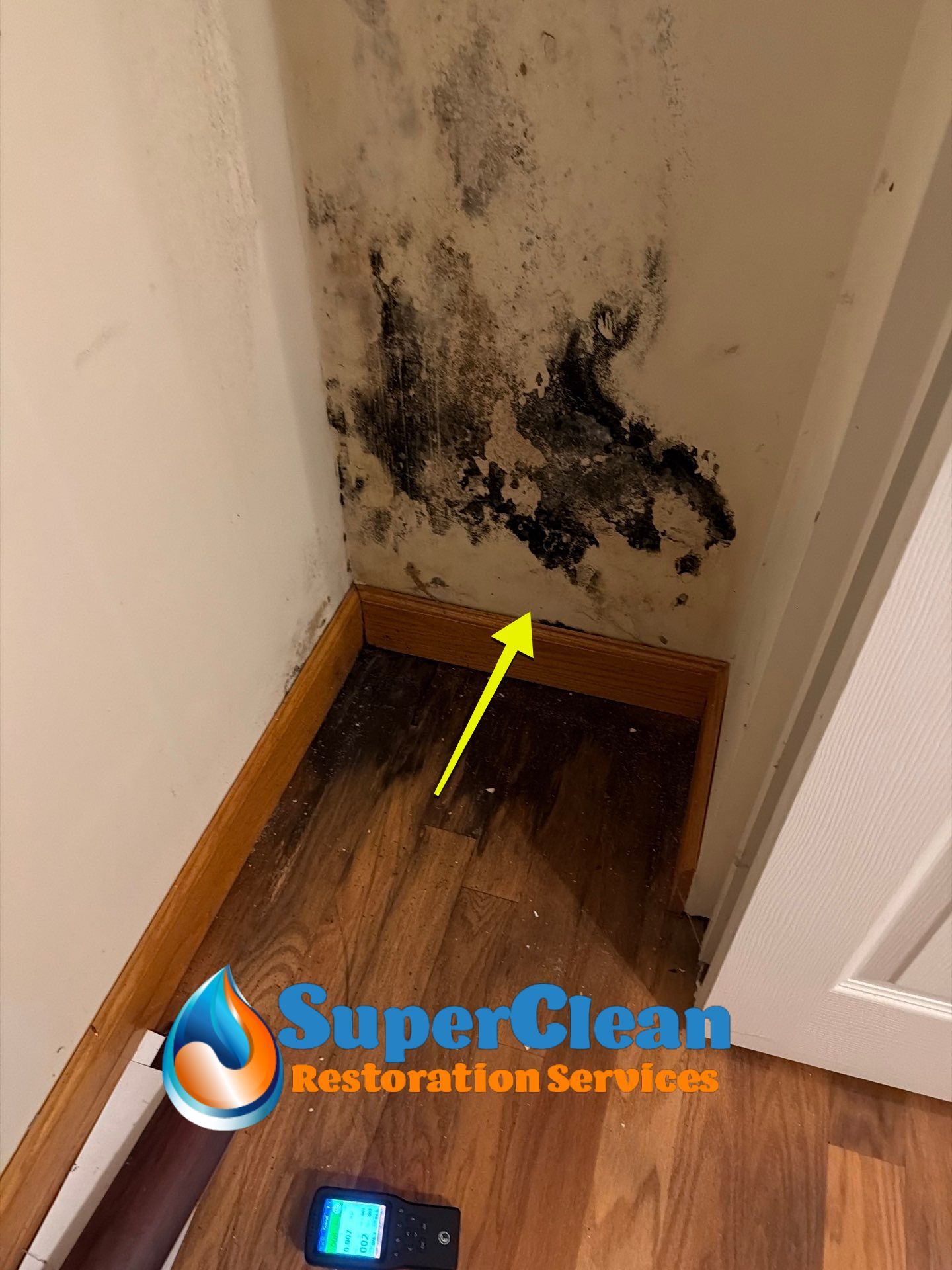 Professional Mold Remediation and Interior Water Damage Restoration in Wellington by SuperClean