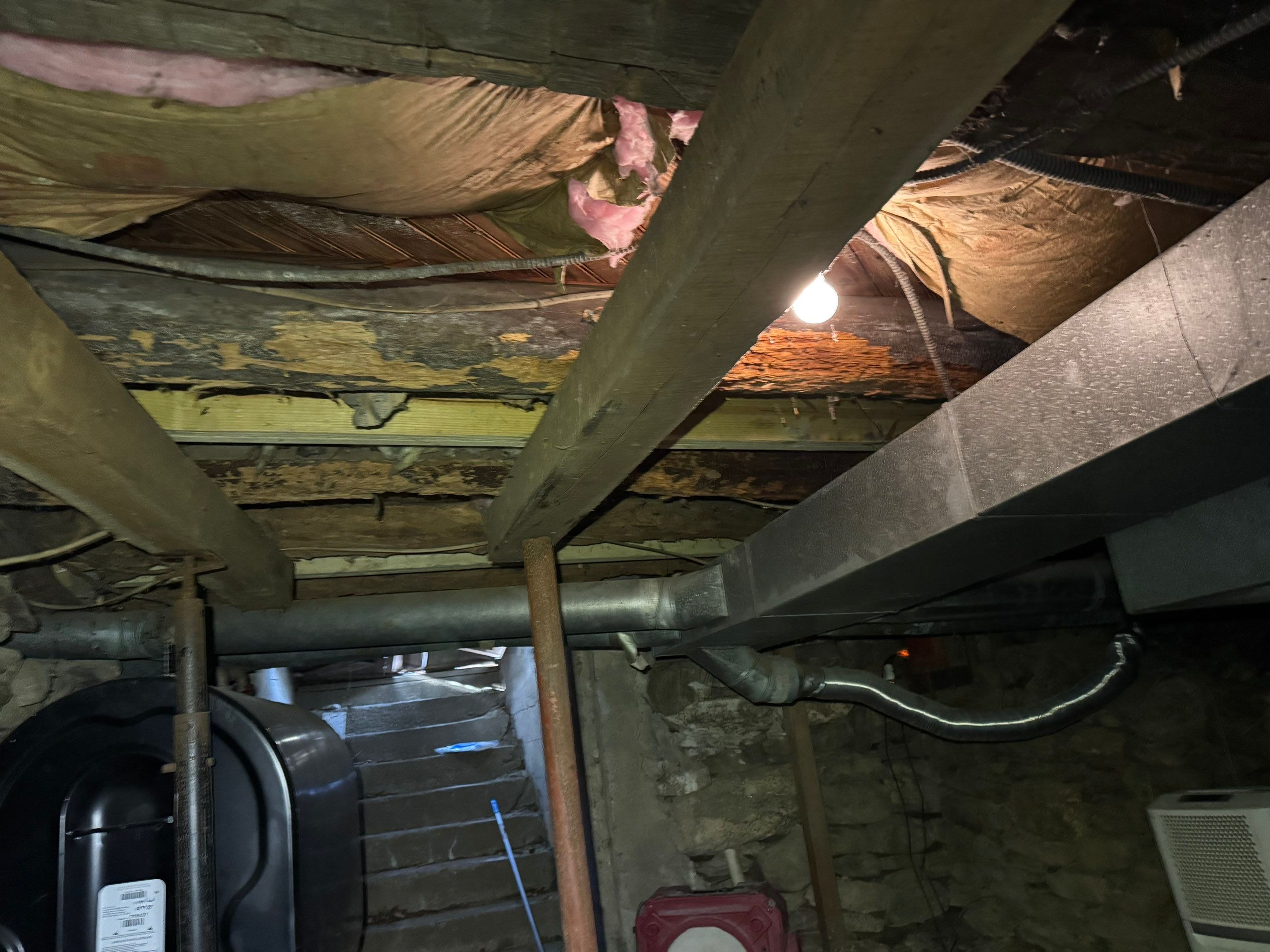 Mold Remediation (Basement) using Home Guarantee by Home Guarantee, LLC
