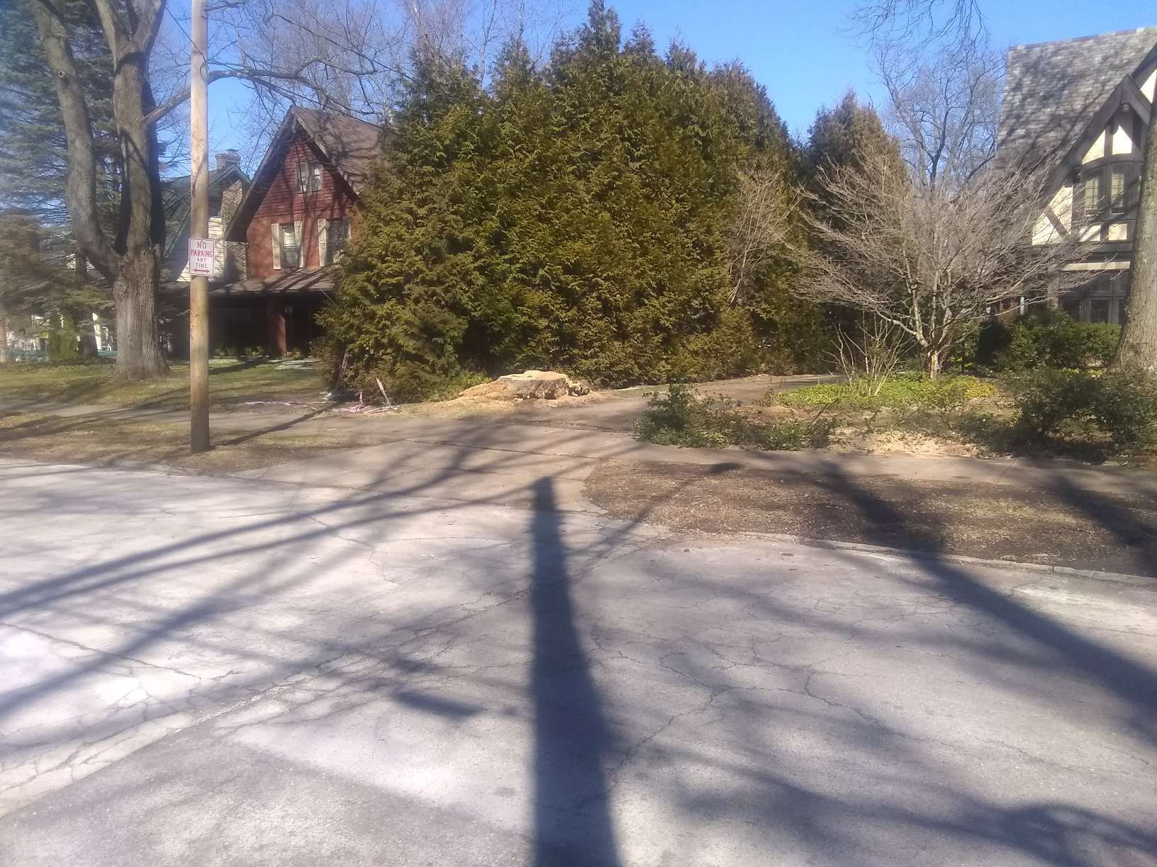 Tree Removal using Tree Removal by Mike Jones & Sons Tree Service LLC 