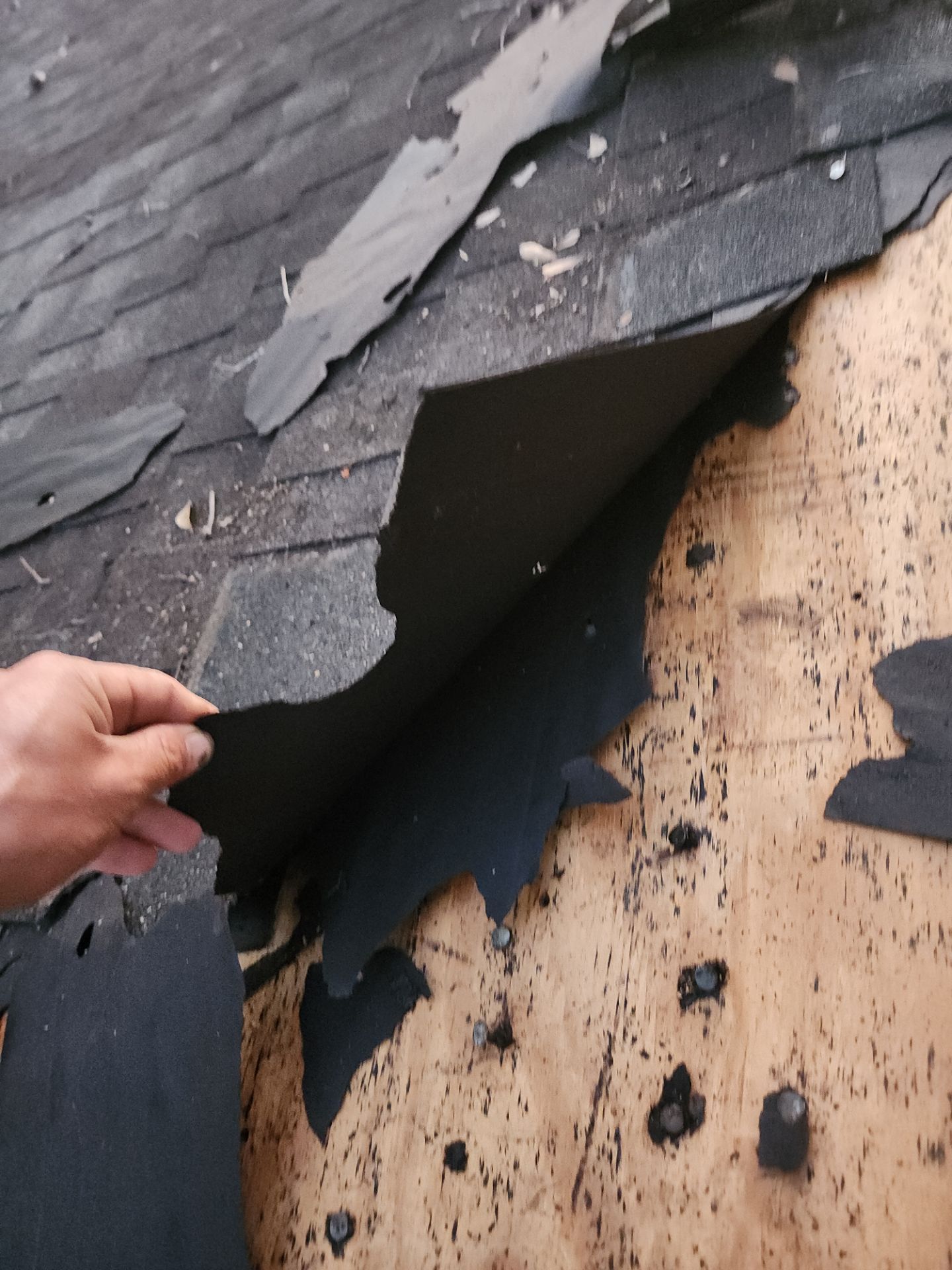 Residential Roofing Installation using Owen's Corning Duration (Lifetime) Shingles by Roof Repair Company
