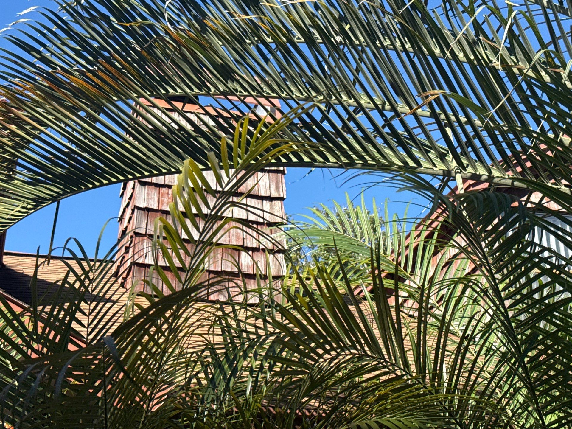 Project in Palm Harbor by Bayshore Exteriors