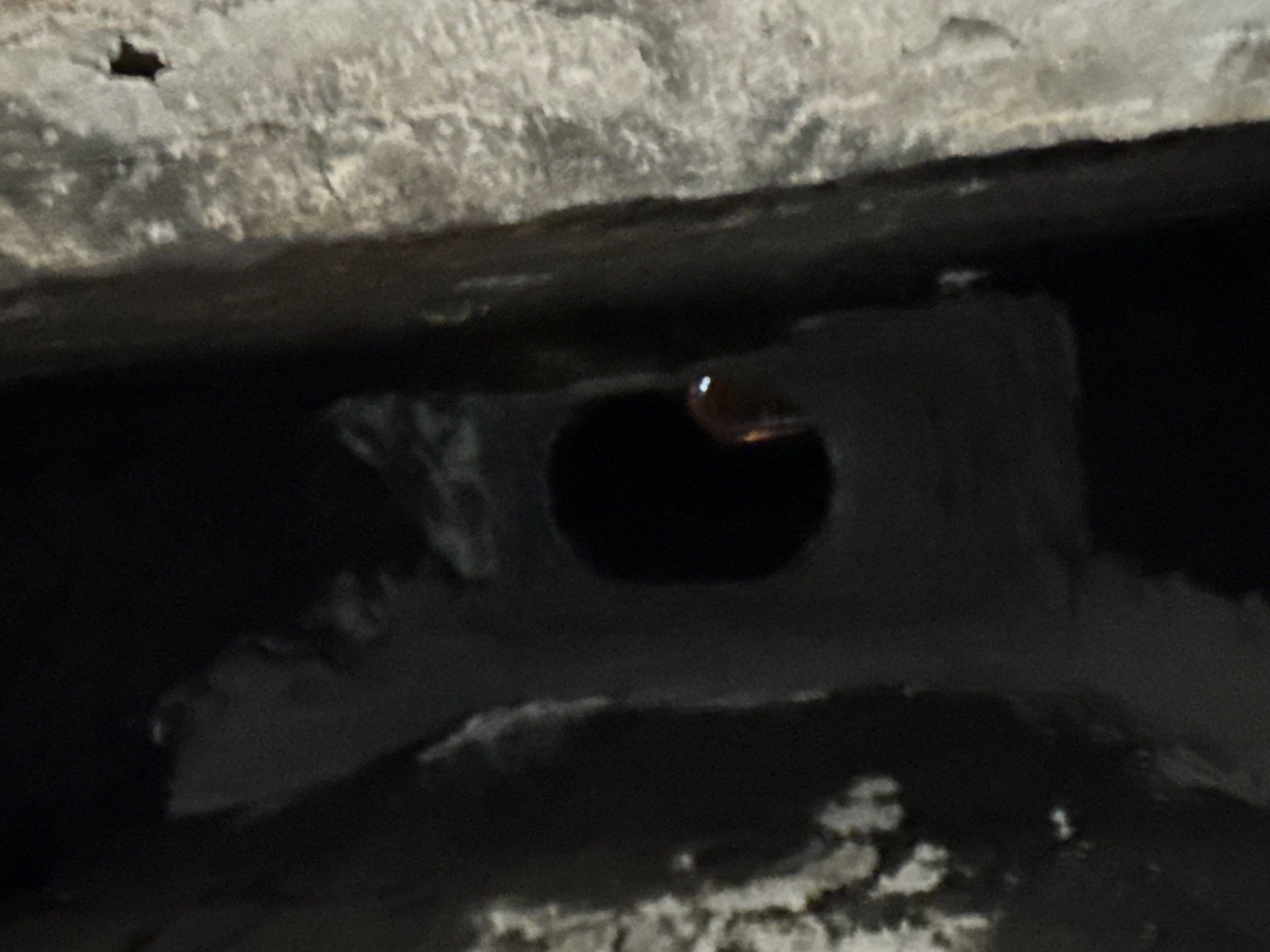 Lucky Cricket Chimney sweep featured photo.