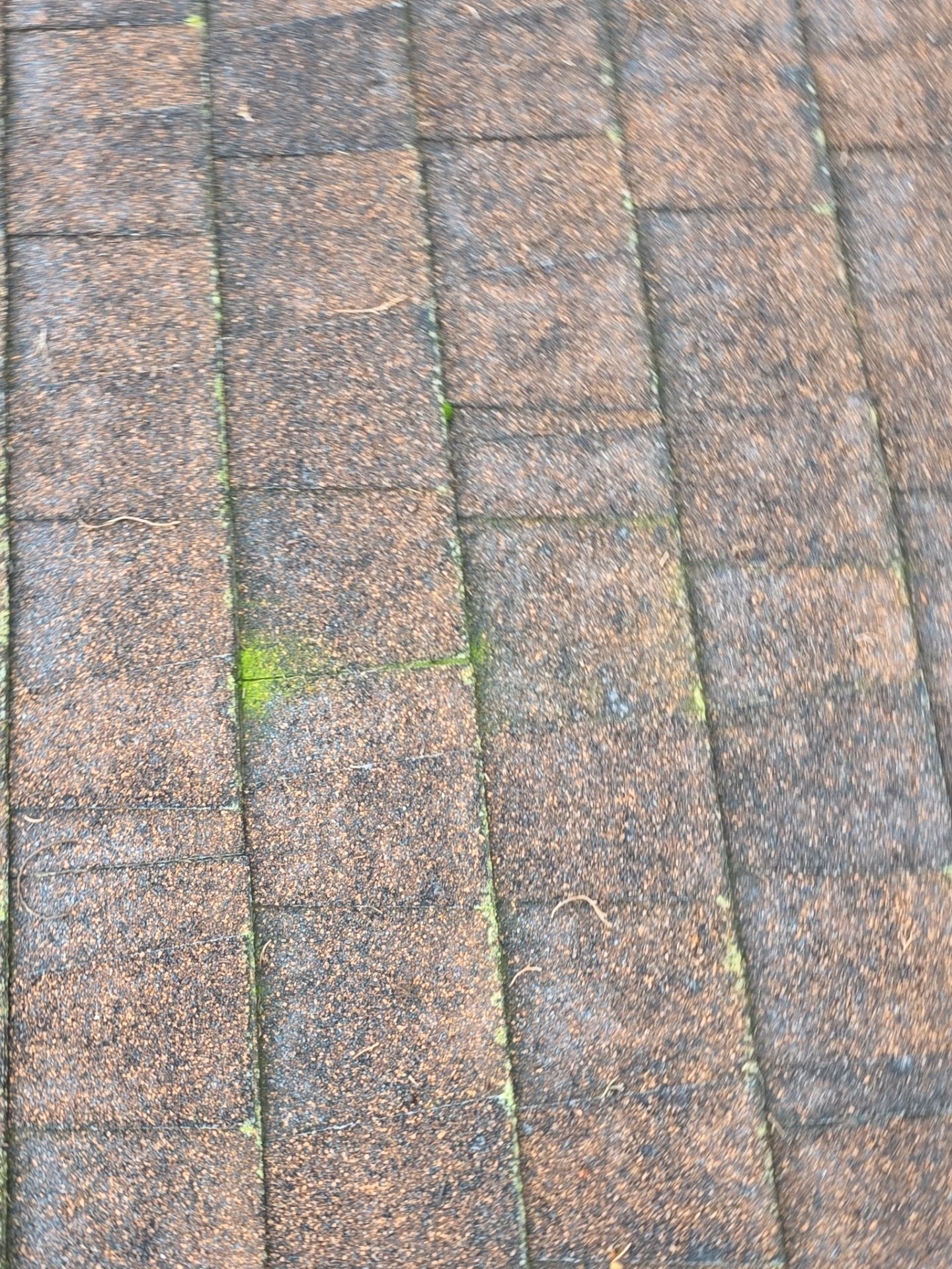 Roof Maxx Rejuvenation by Roof Maxx of Folsom