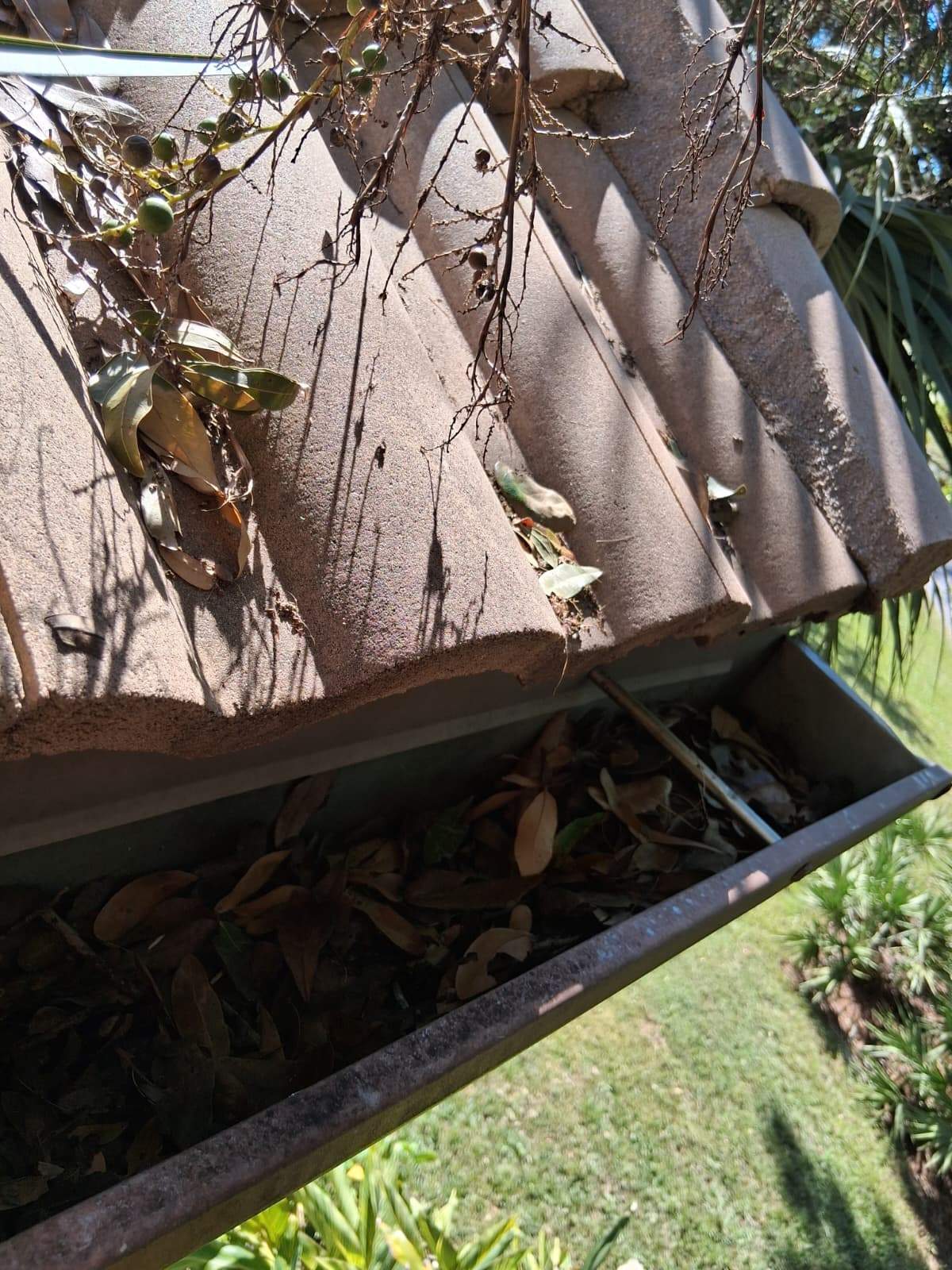 Gutter Cleaning Service in Sarasota FL by Gutter Professors