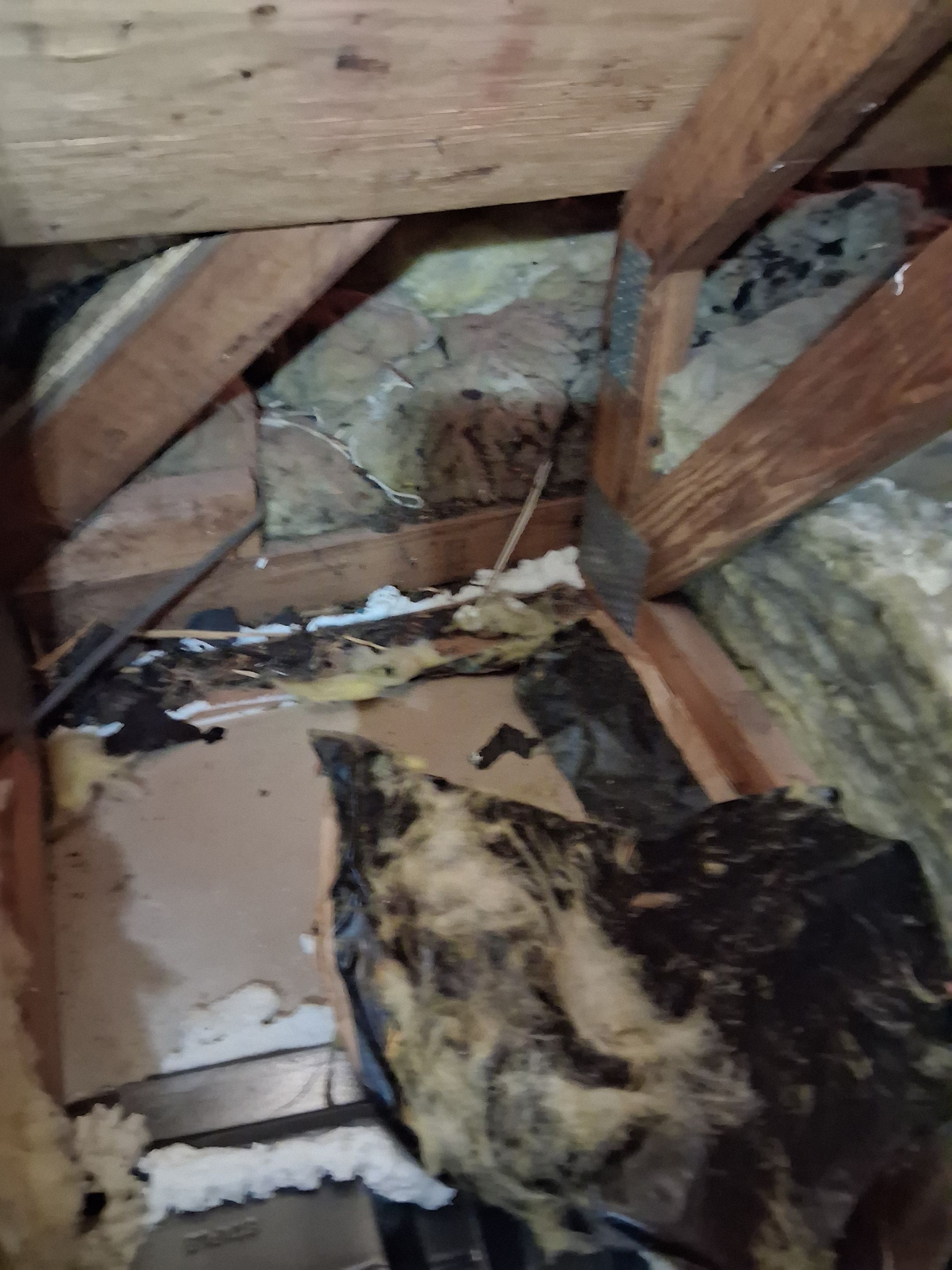 Bowie Residence by Smart Energy Pros