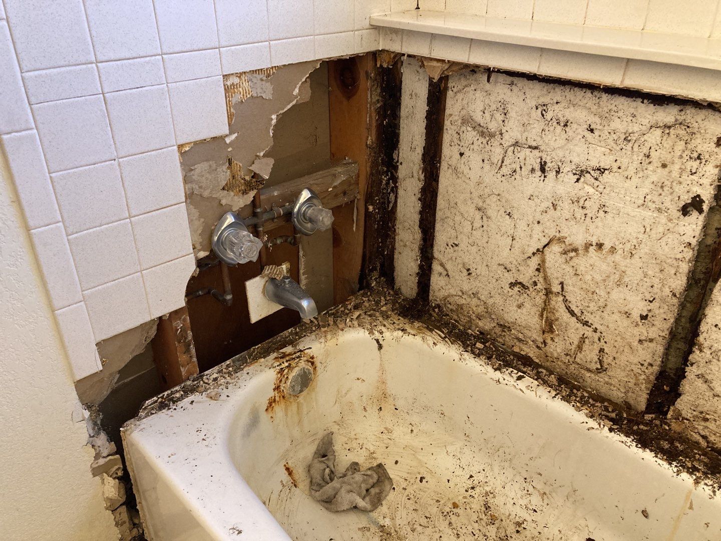 Mold Remediation in Bathroom by Accountable Home Services