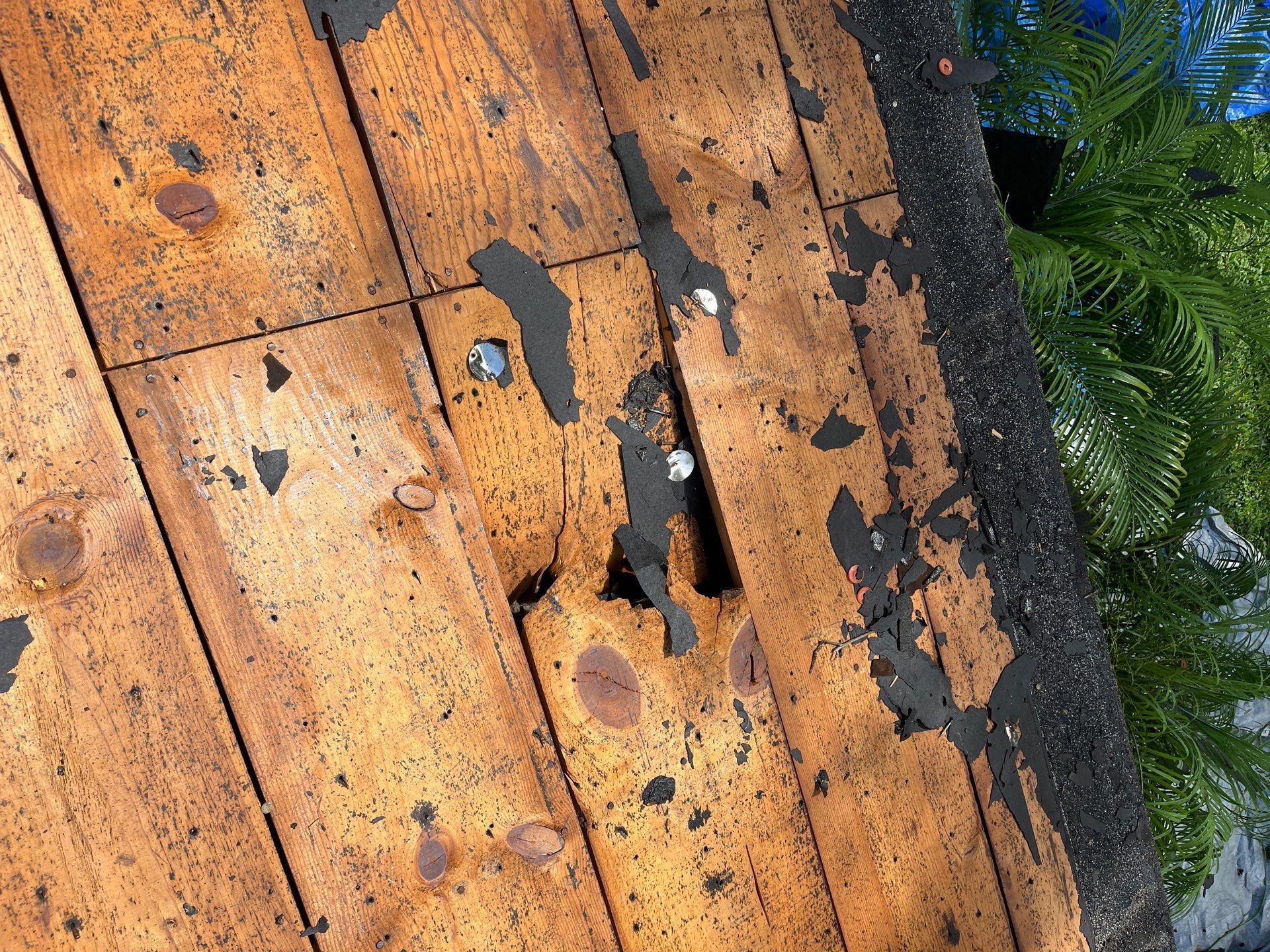 Project in St. Petersburg 33709 by Mitchell Roofing Company LLC 