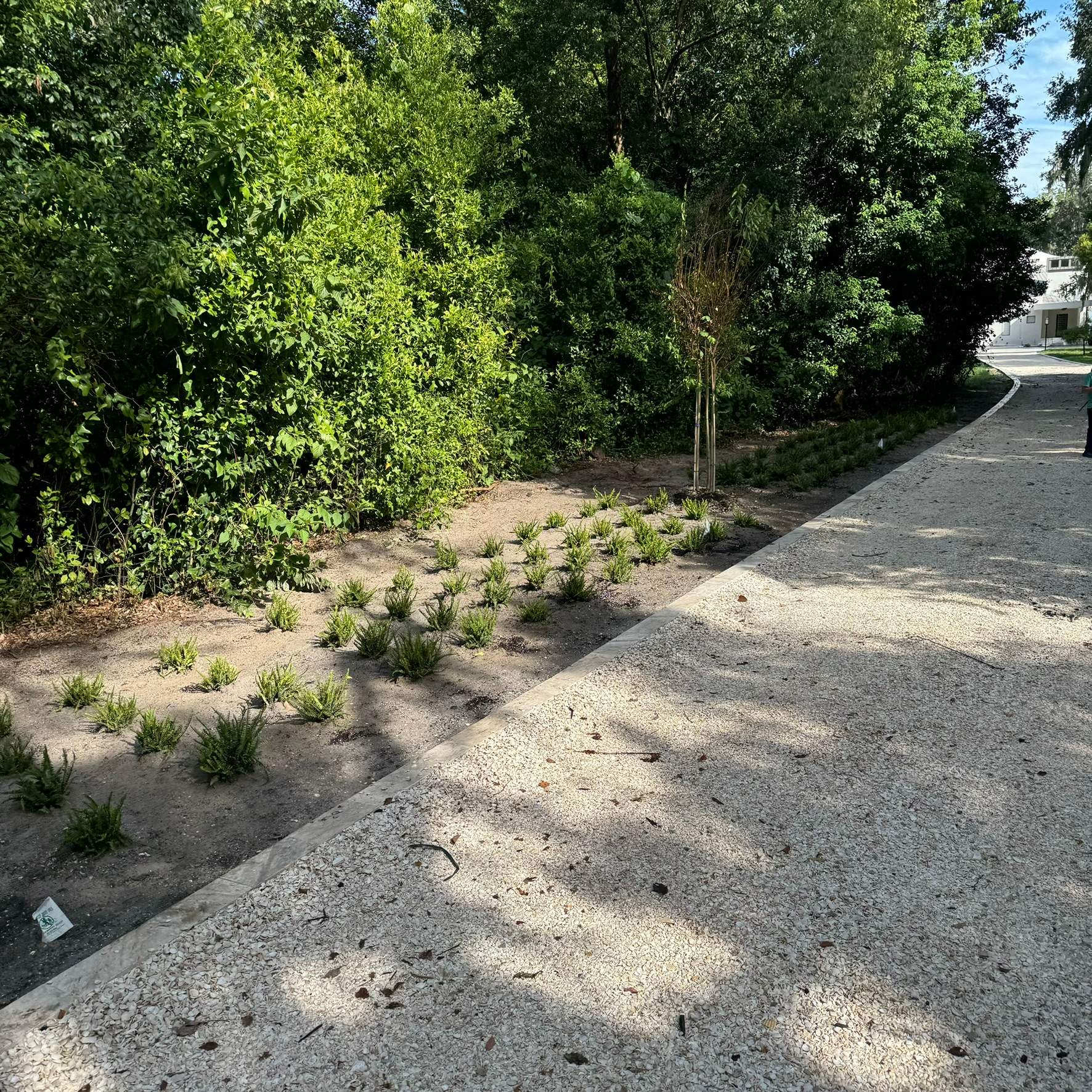 Landscape Install | Residence by ProGreen Services