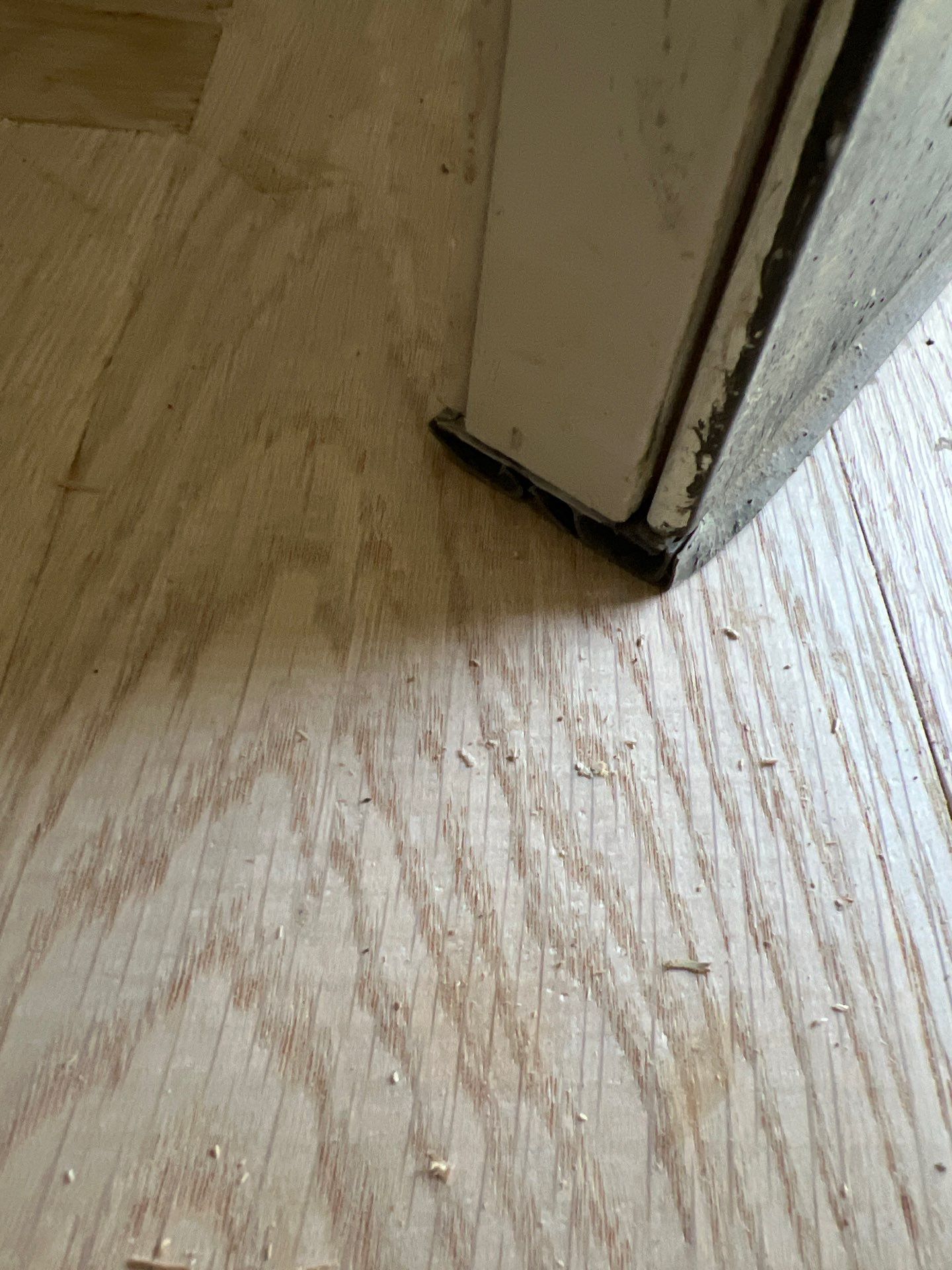 Wow by Bernard Hardwood Floors