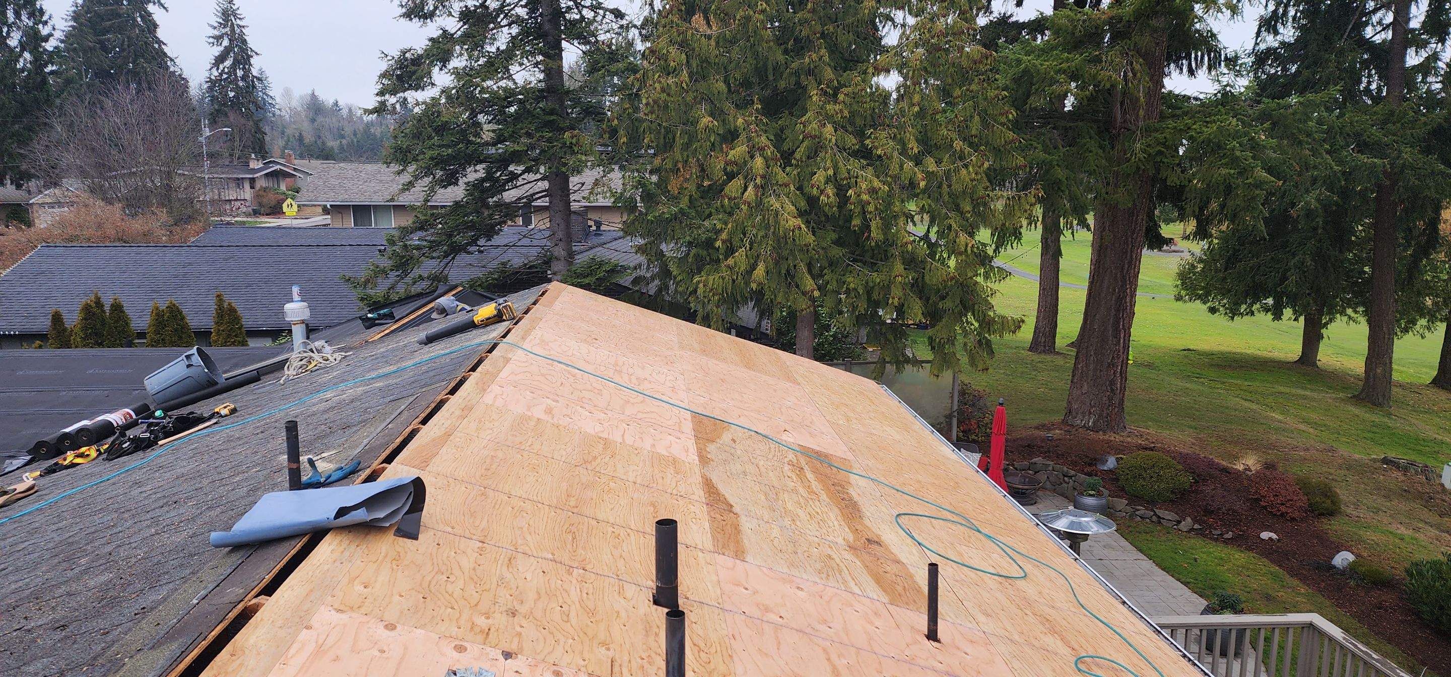 Bellevue Carl by RoofWorks Northwest