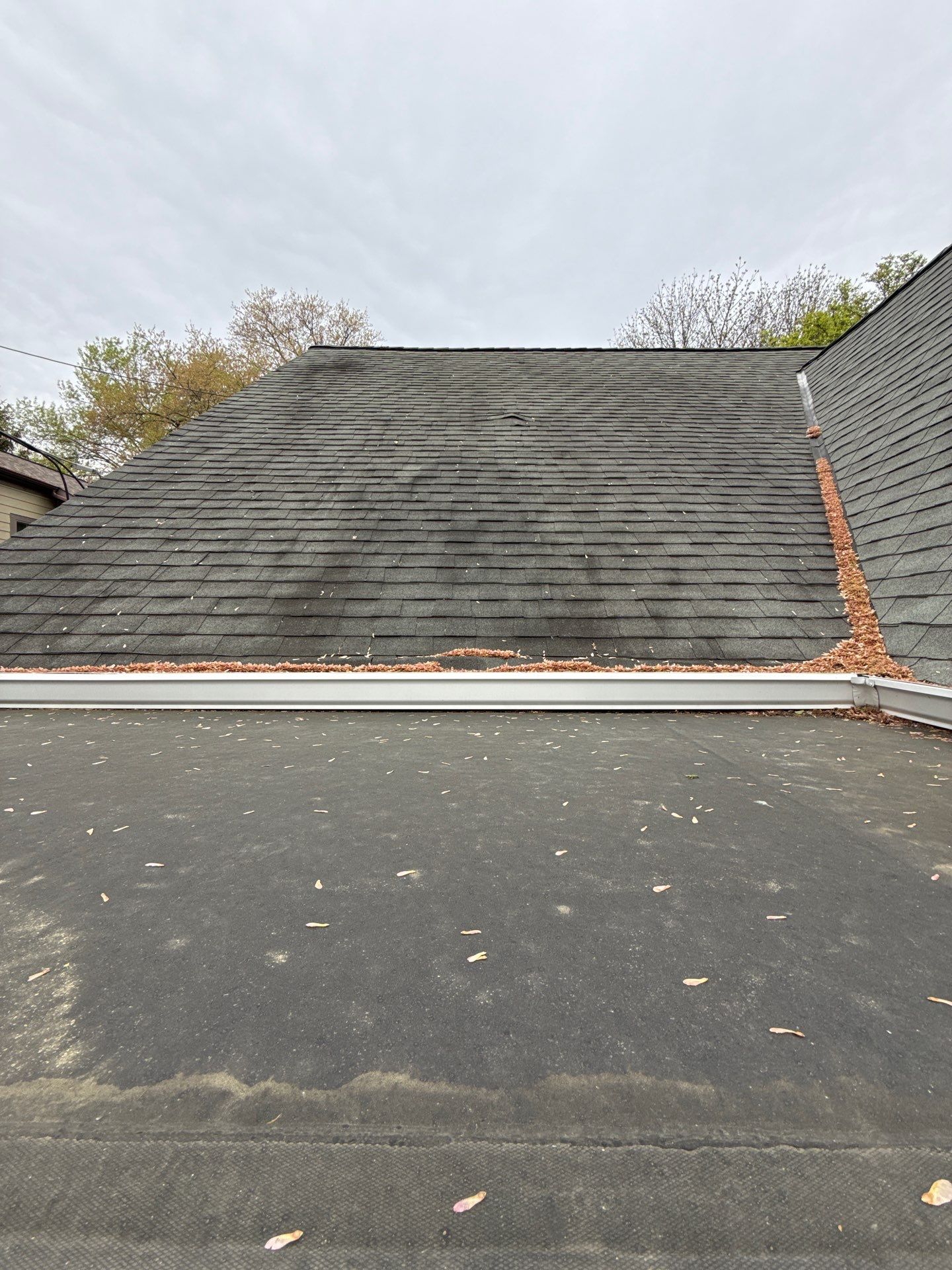 Roofing Services in Arlington, VA by My Painter 