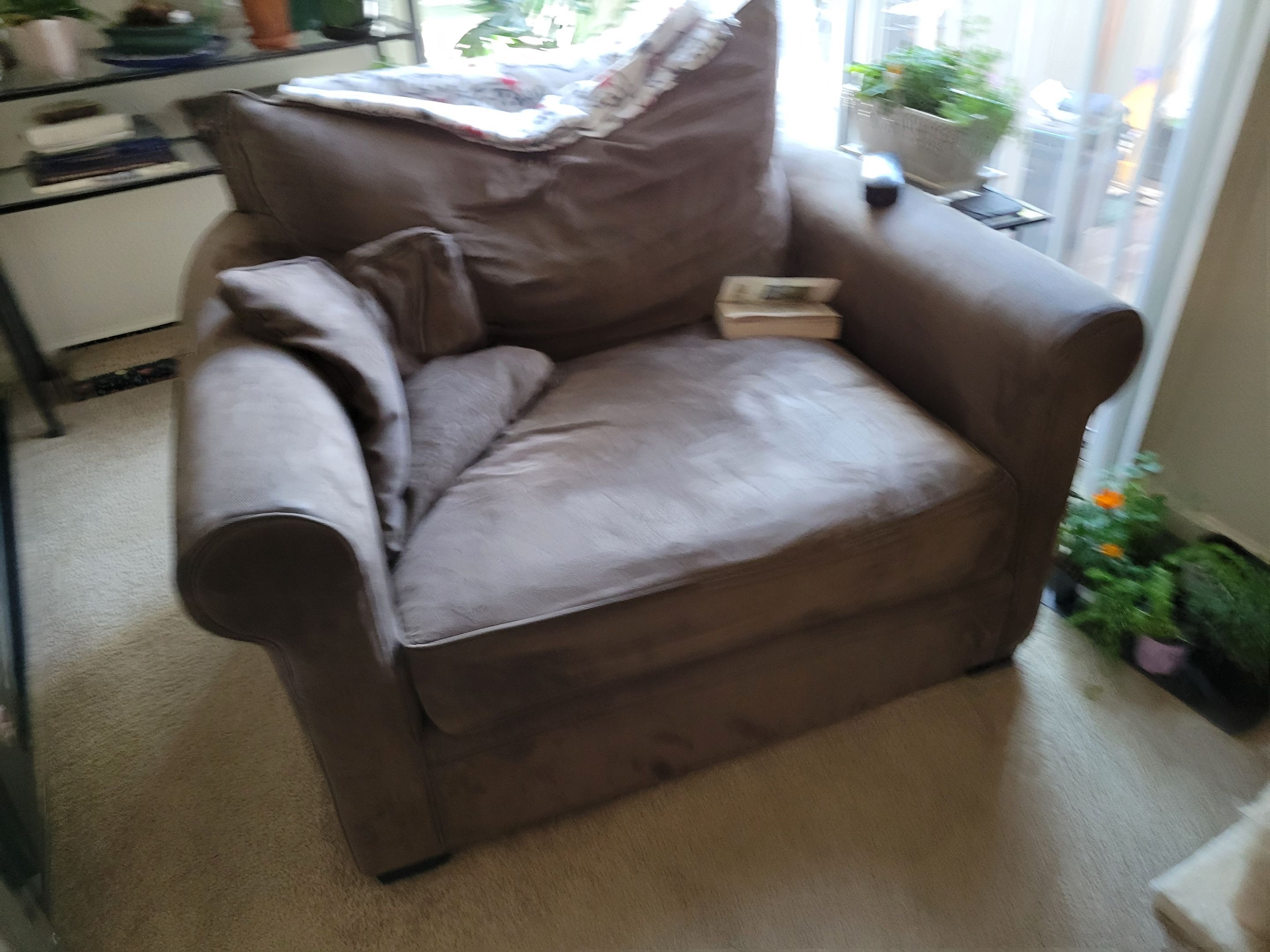 Upholstery Cleaning of Furniture Shells by Ardent Carpet Restore LLC