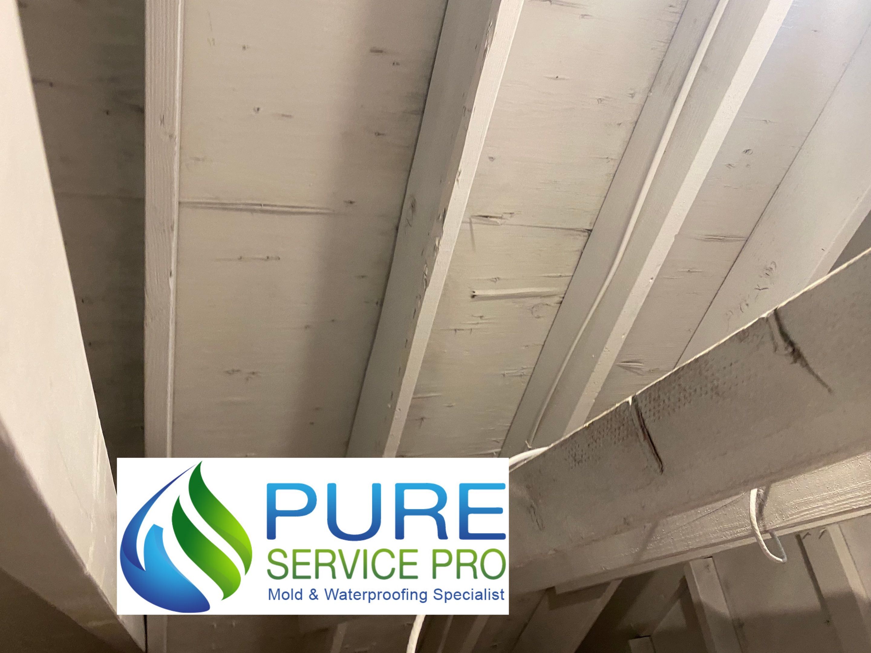Attic Mold Remediation Job in Vernon Township, NJ by Pure Service Pro, LLC 
