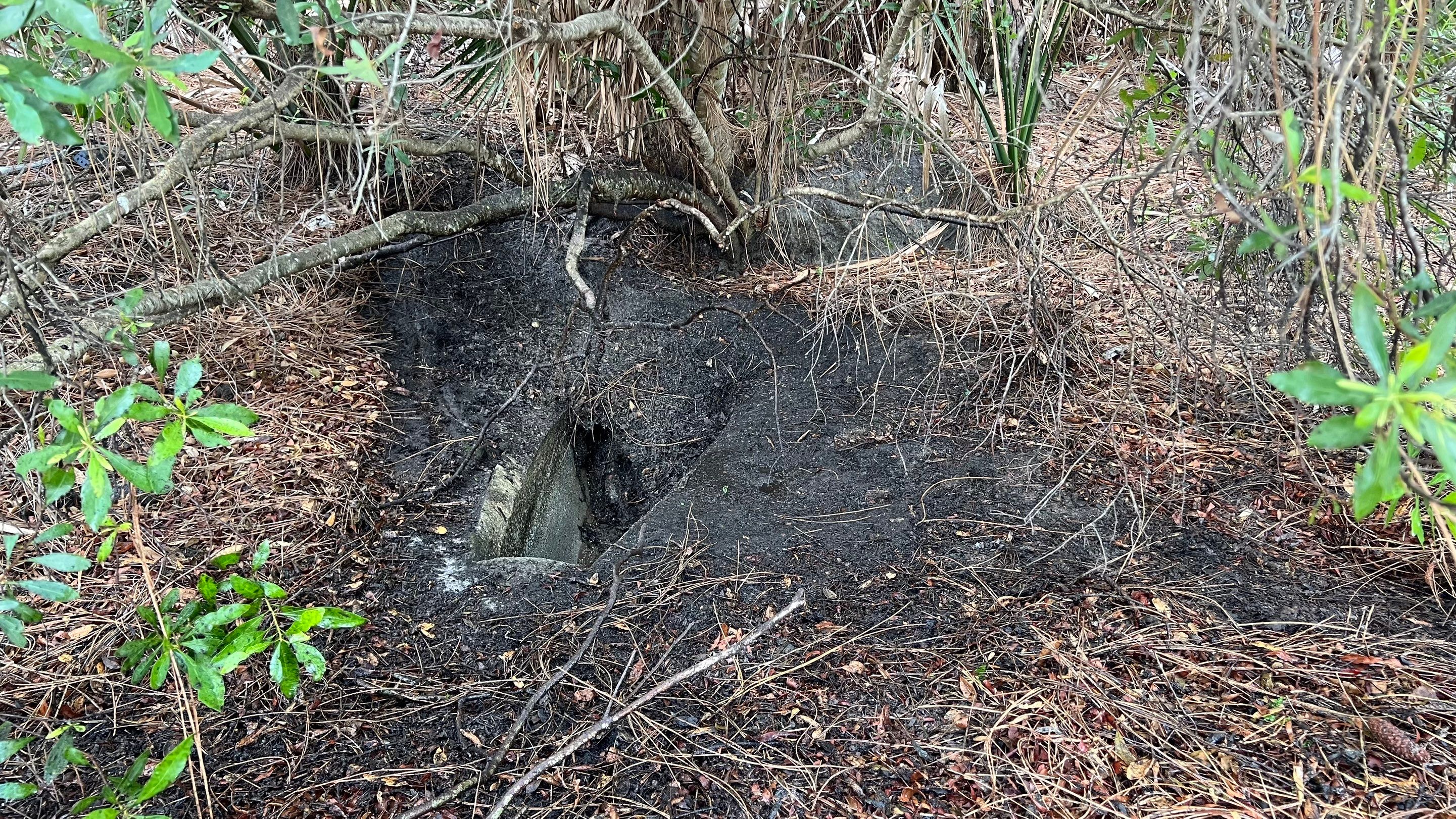 Estero Community Stormwater System Maintenance by APS Power & Water