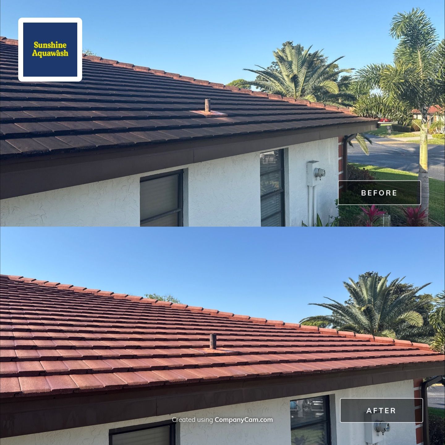 Tile Roof Cleaning – Vivenda at Bradenton I (5-Star Review & Plant Protection) by Sunshine AquaWash