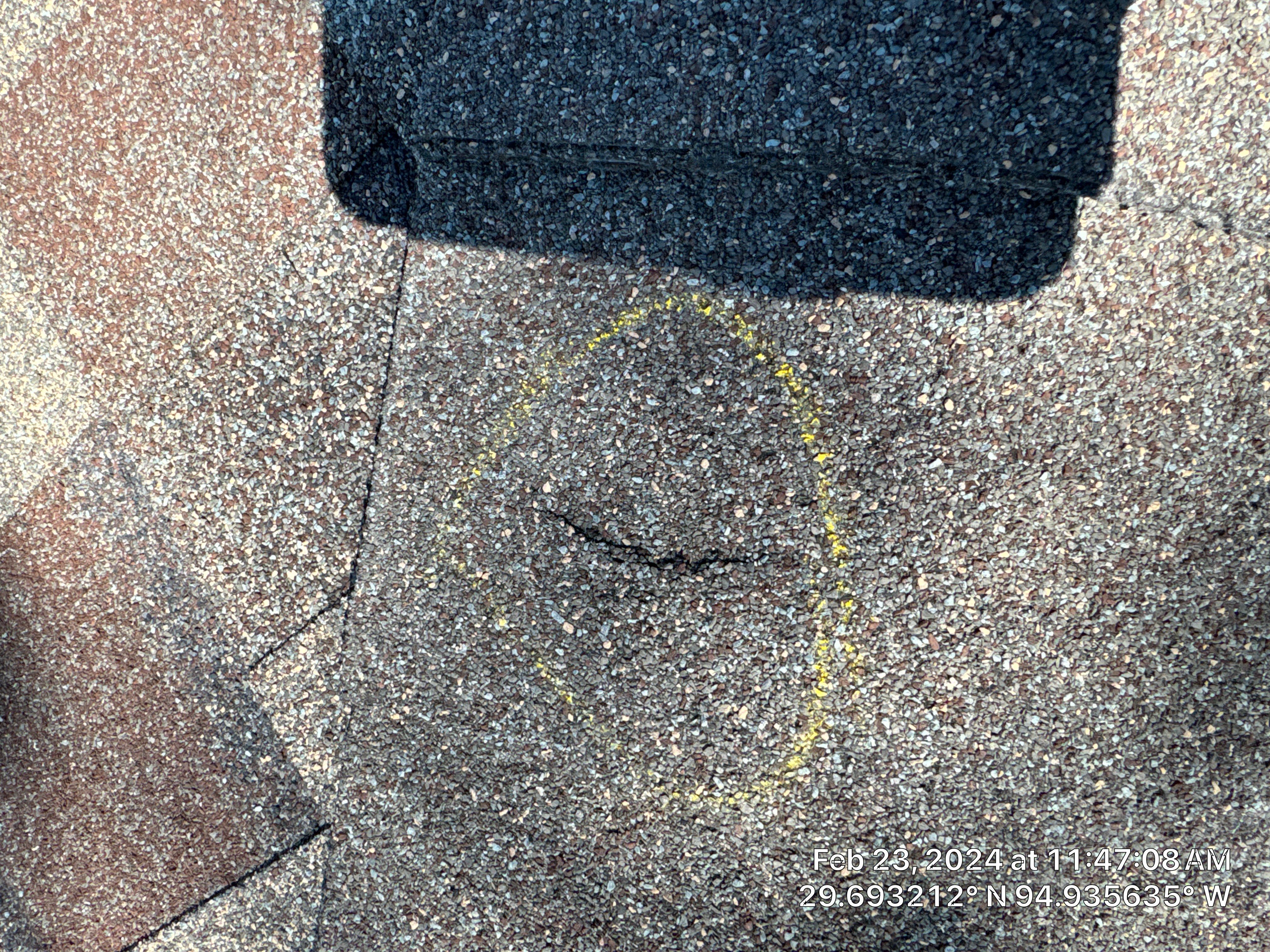 Hail Damage by Southern Belle